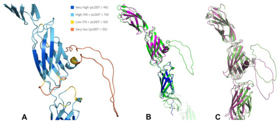 IJMS | Free Full-Text | Analysis of Receptor-Type Protein Tyrosine ...