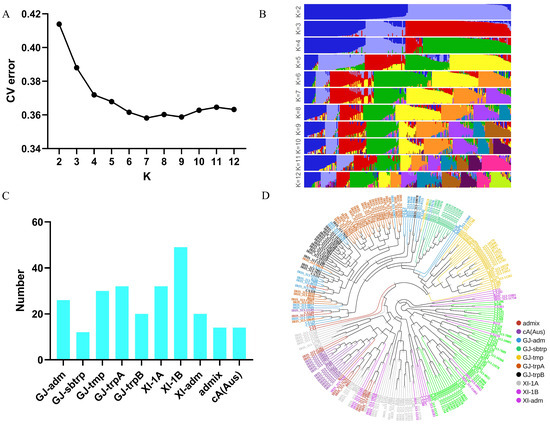 Genome-Wide Association Study Identifies Rice Panicle Blast