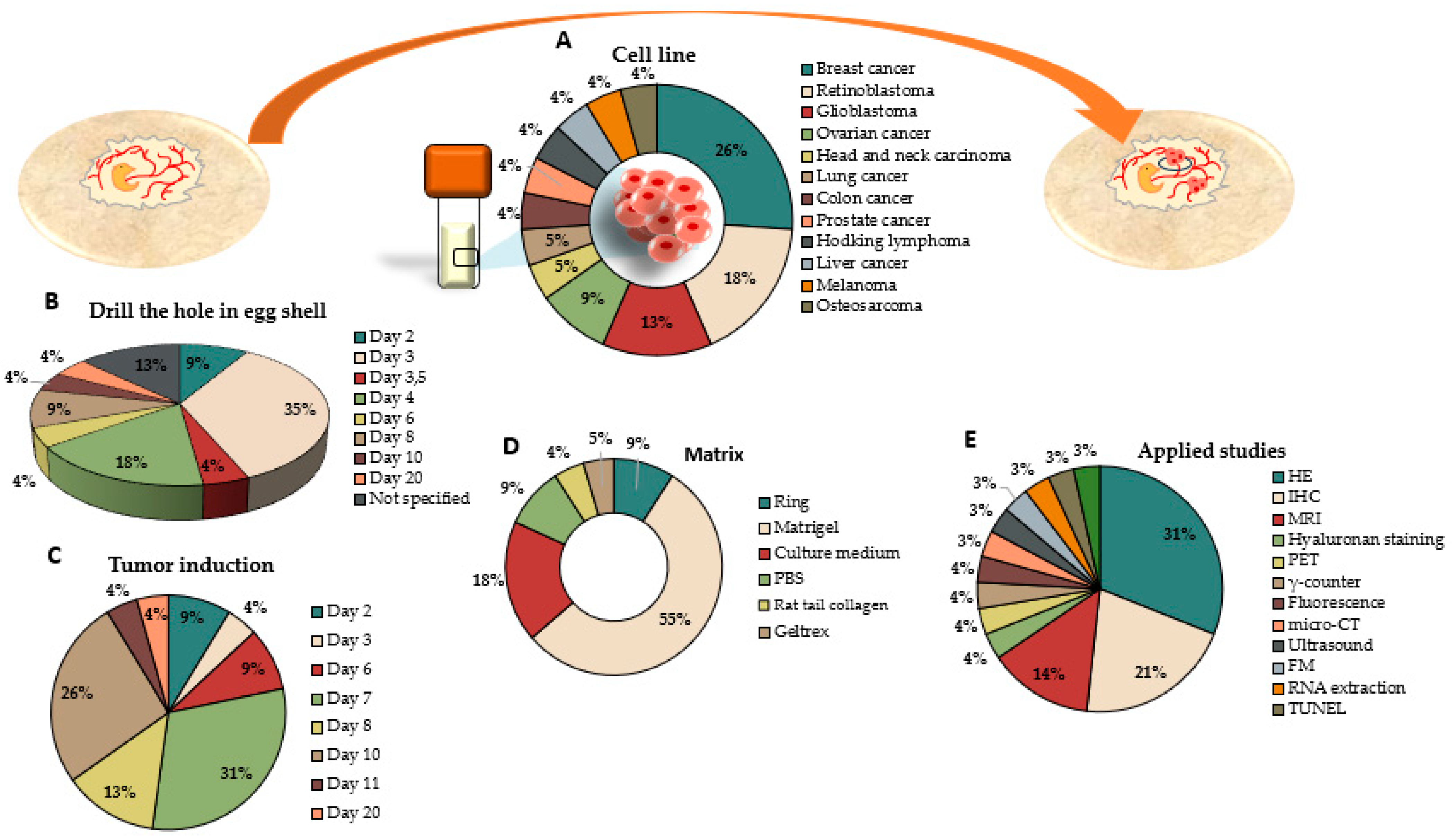 Ijms 25 00837 g004 Ijms 25 00837 g004