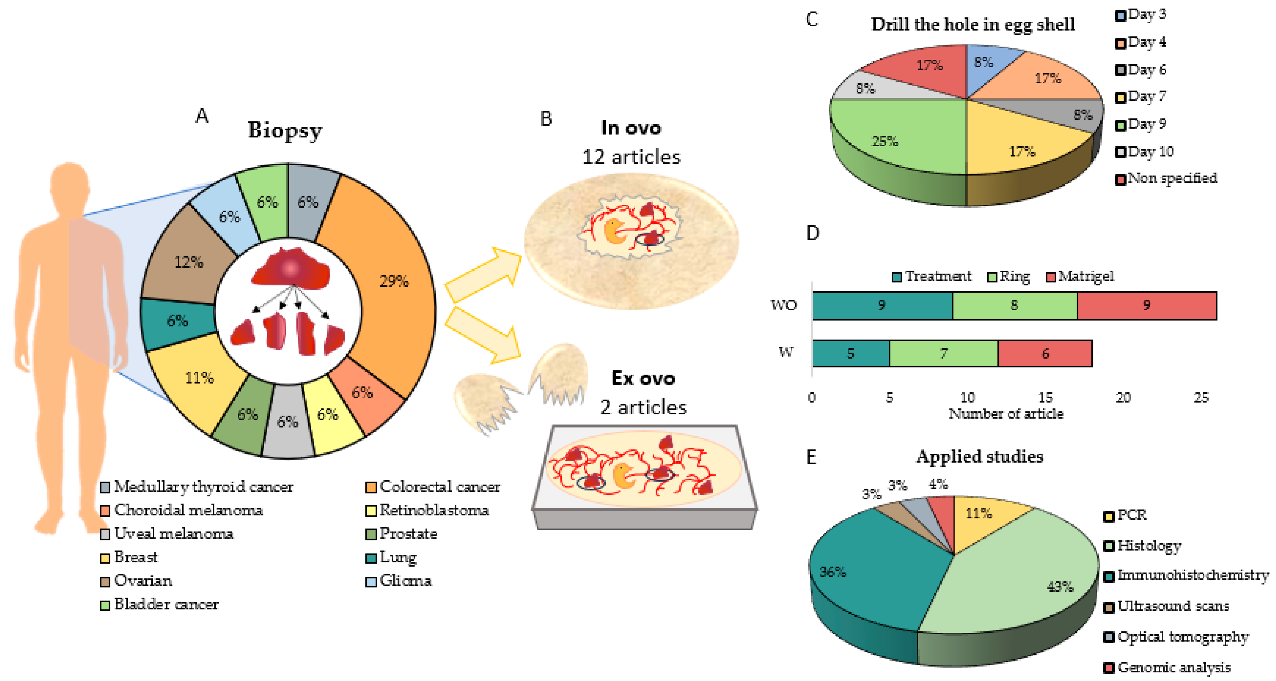 Ijms 25 00837 g008 Ijms 25 00837 g008