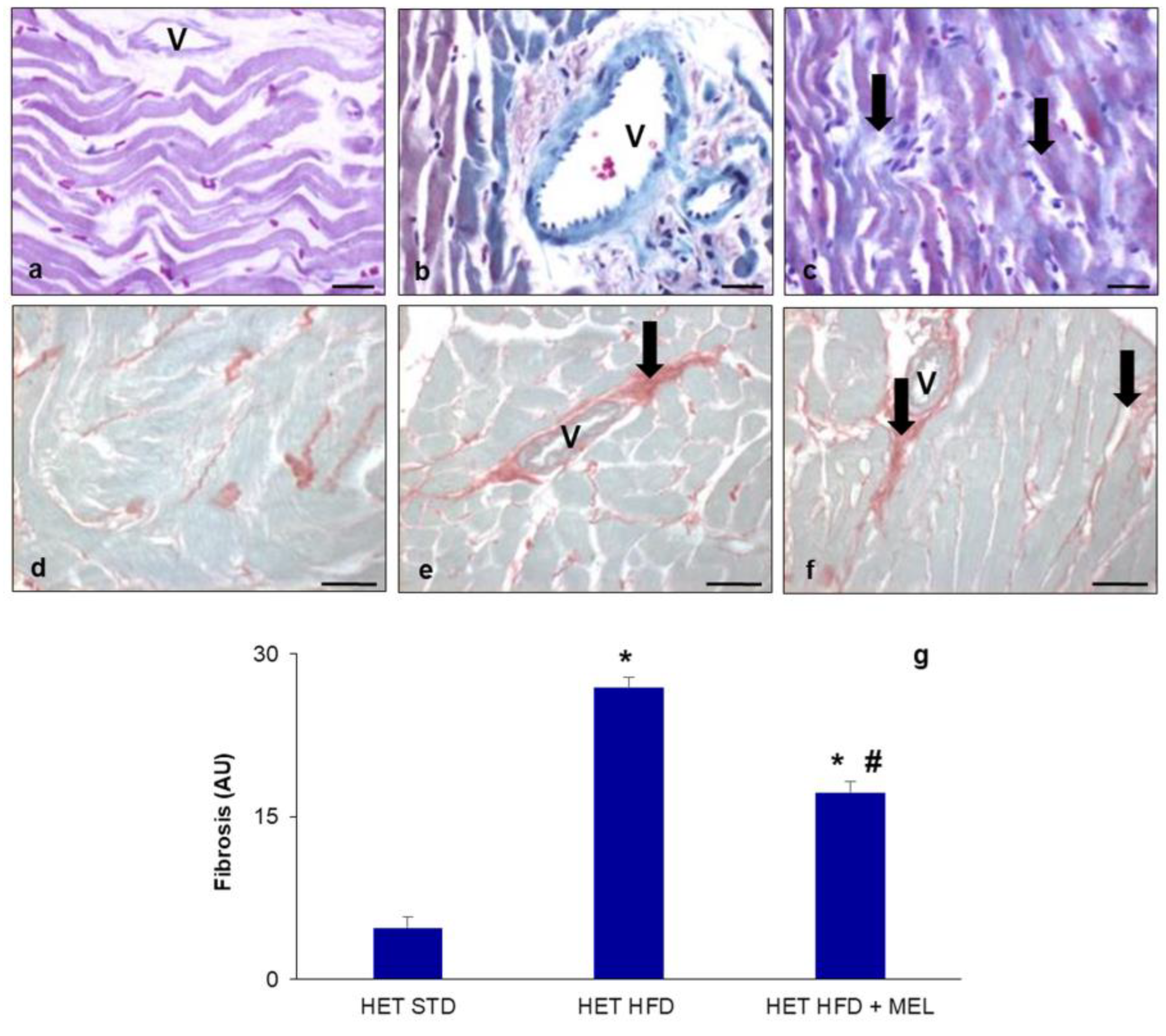 Ijms 25 00860 g001 Ijms 25 00860 g001