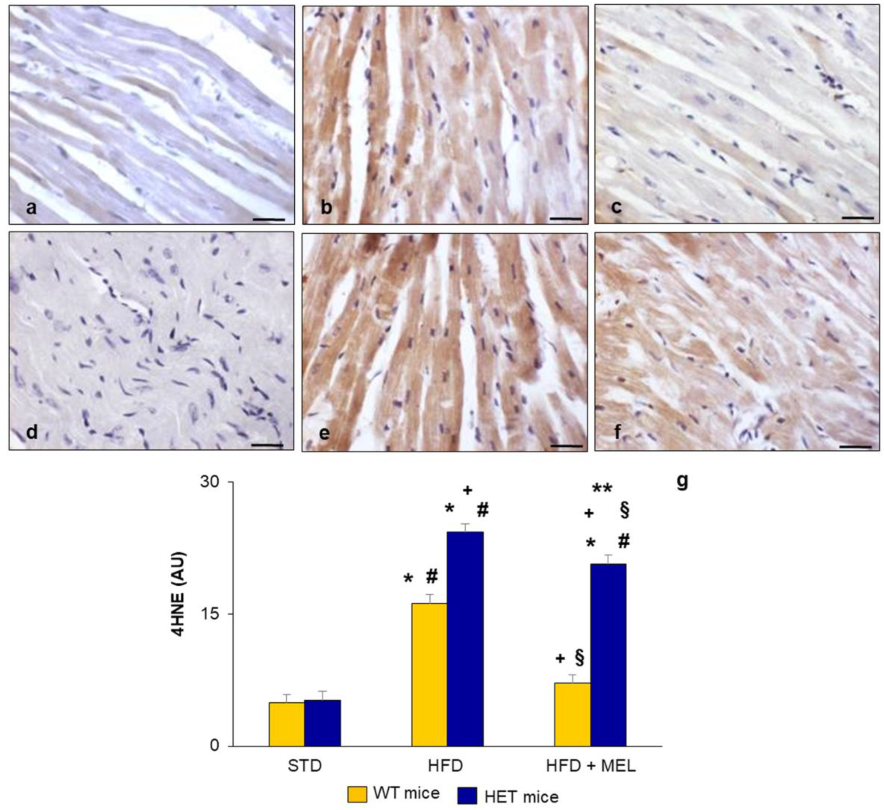 Ijms 25 00860 g002 Ijms 25 00860 g002