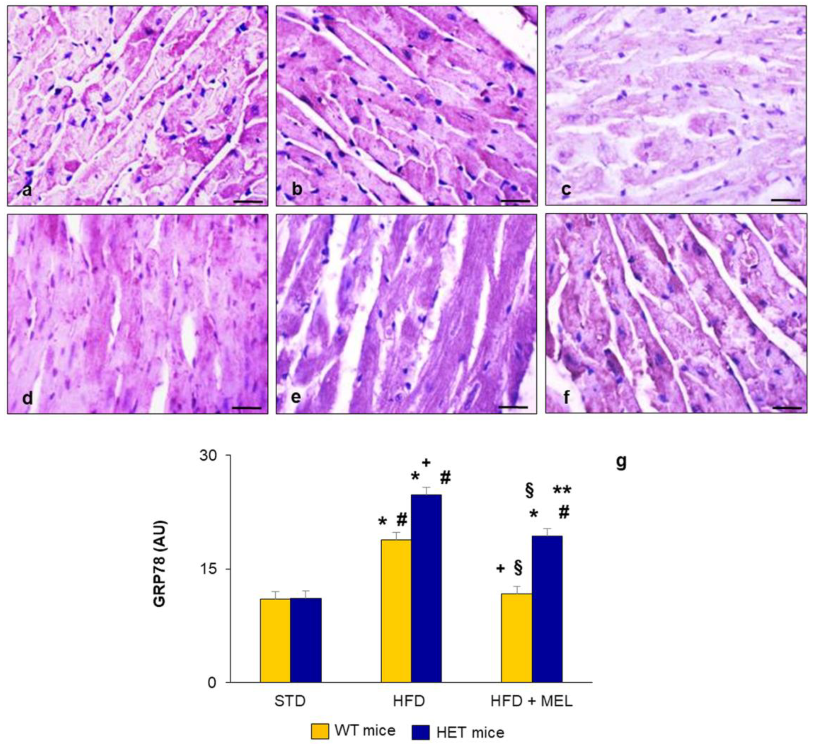 Ijms 25 00860 g003 Ijms 25 00860 g003