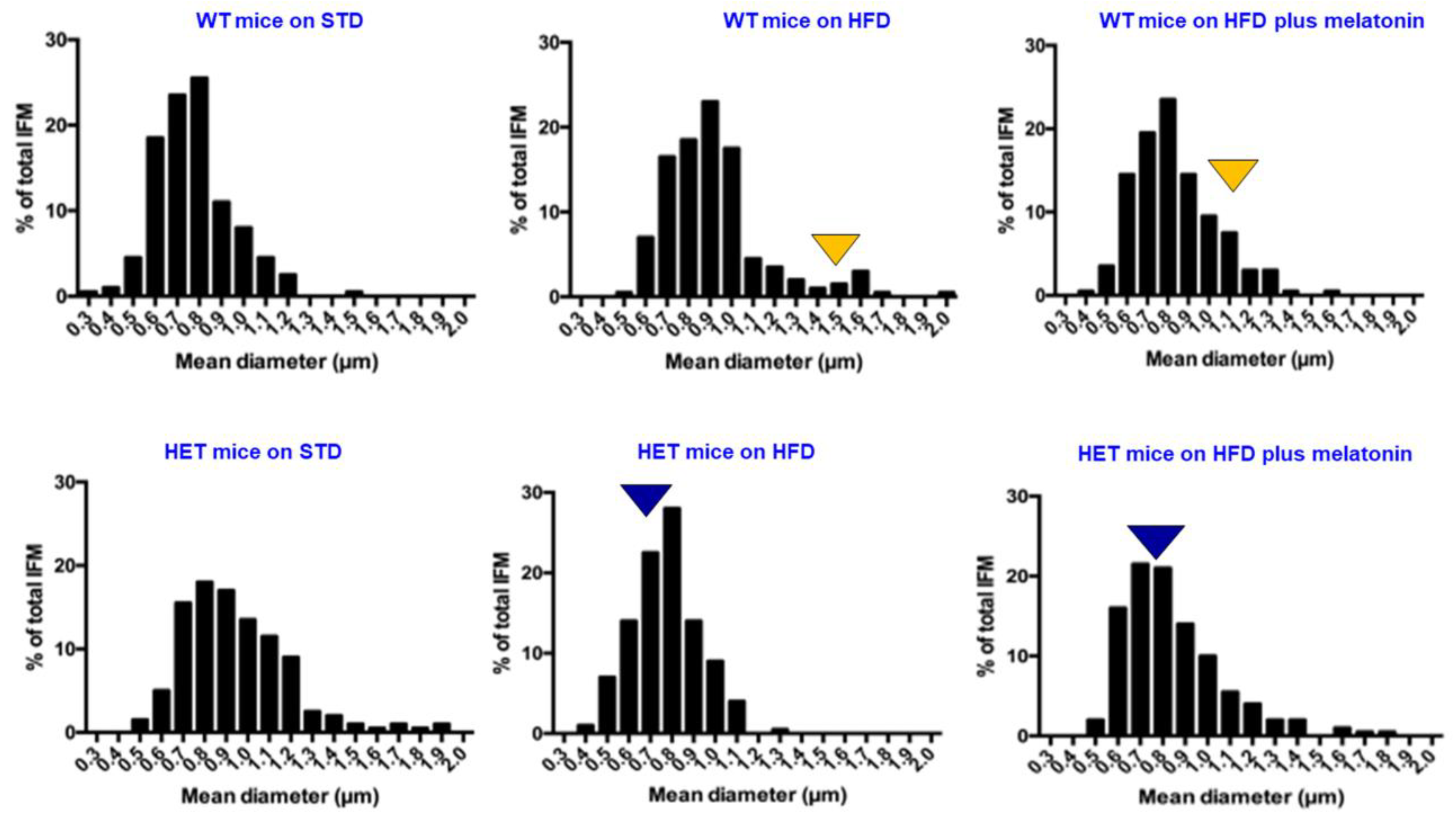 Ijms 25 00860 g005 Ijms 25 00860 g005