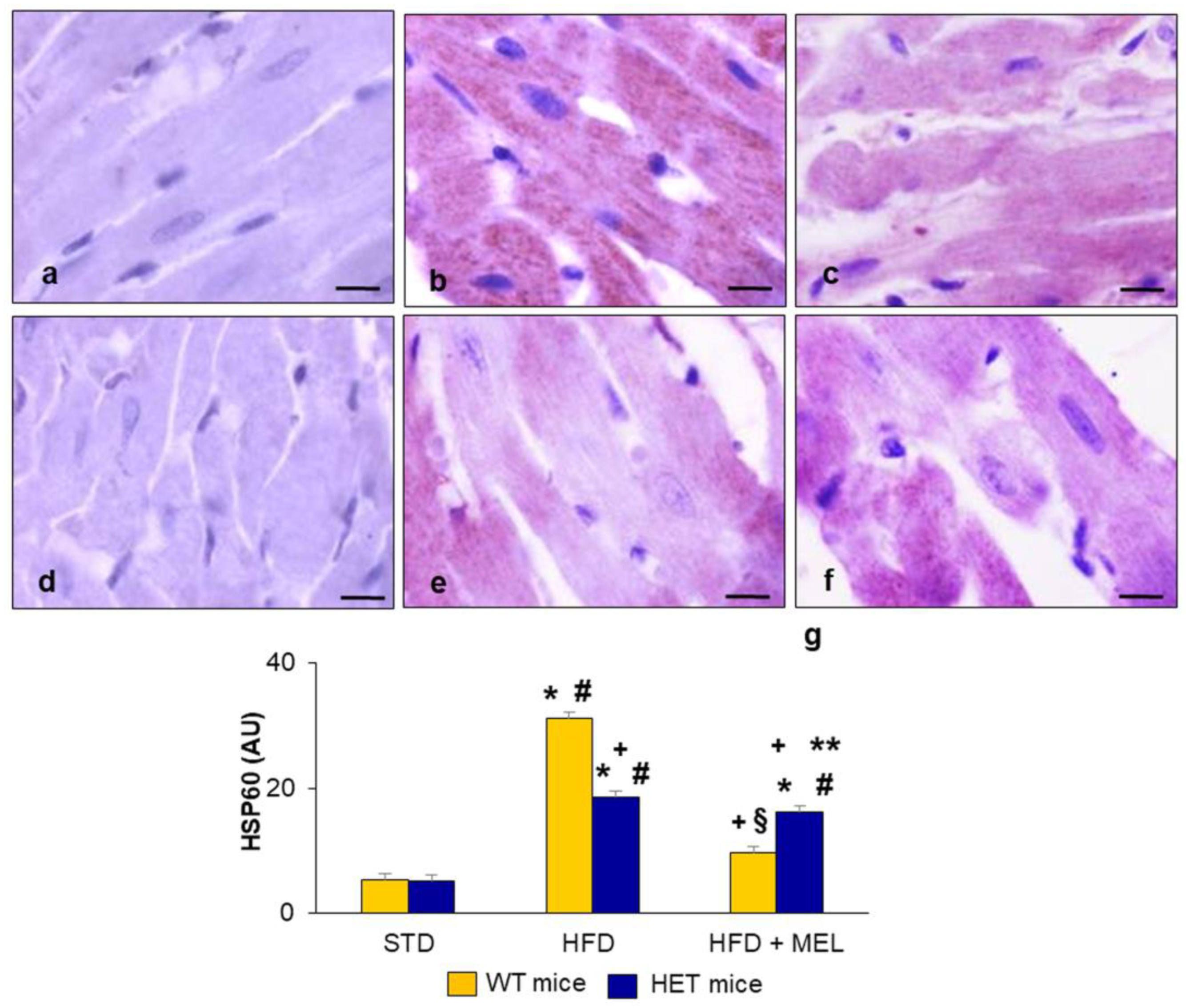 Ijms 25 00860 g006 Ijms 25 00860 g006