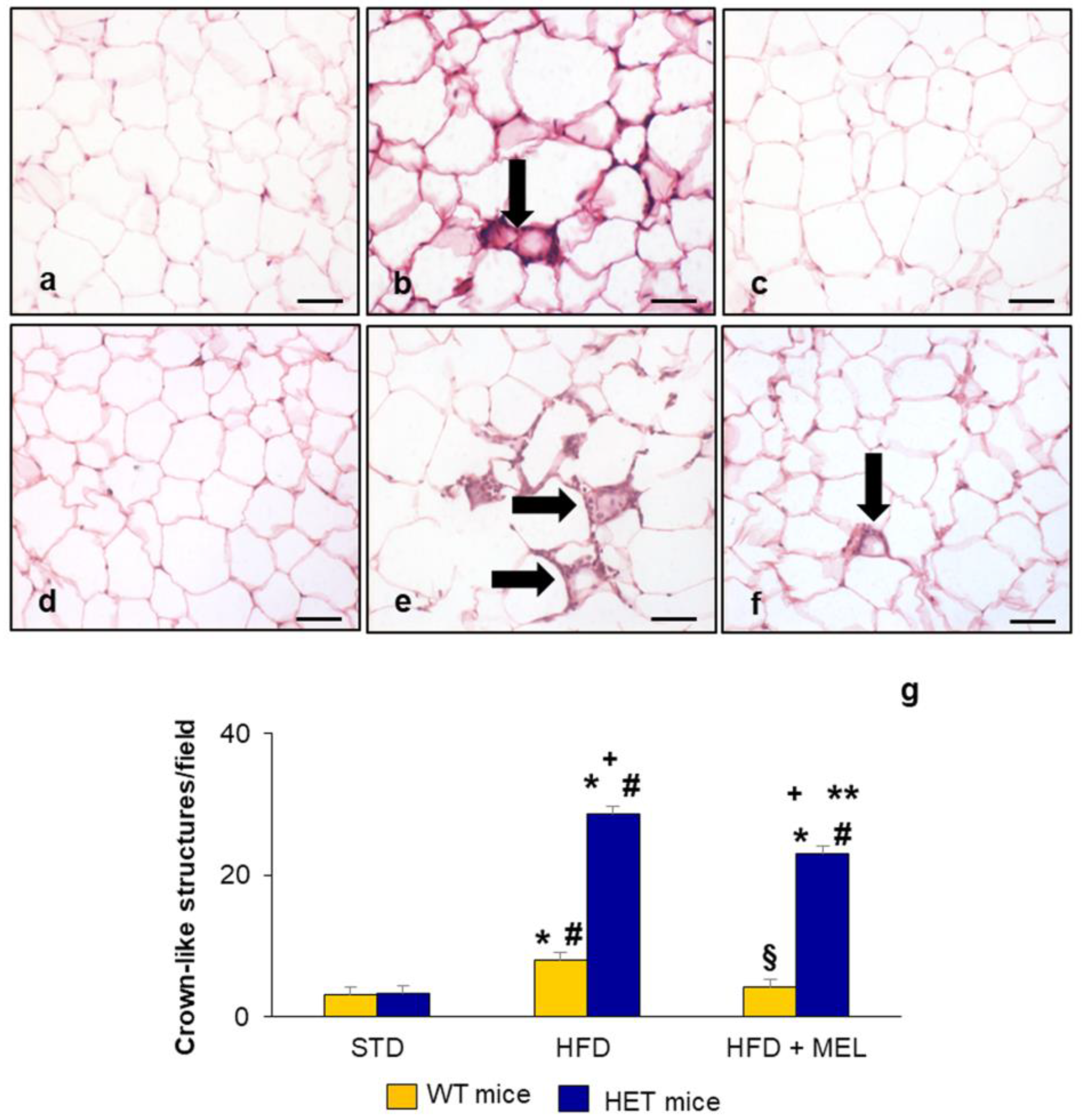 Ijms 25 00860 g007 Ijms 25 00860 g007