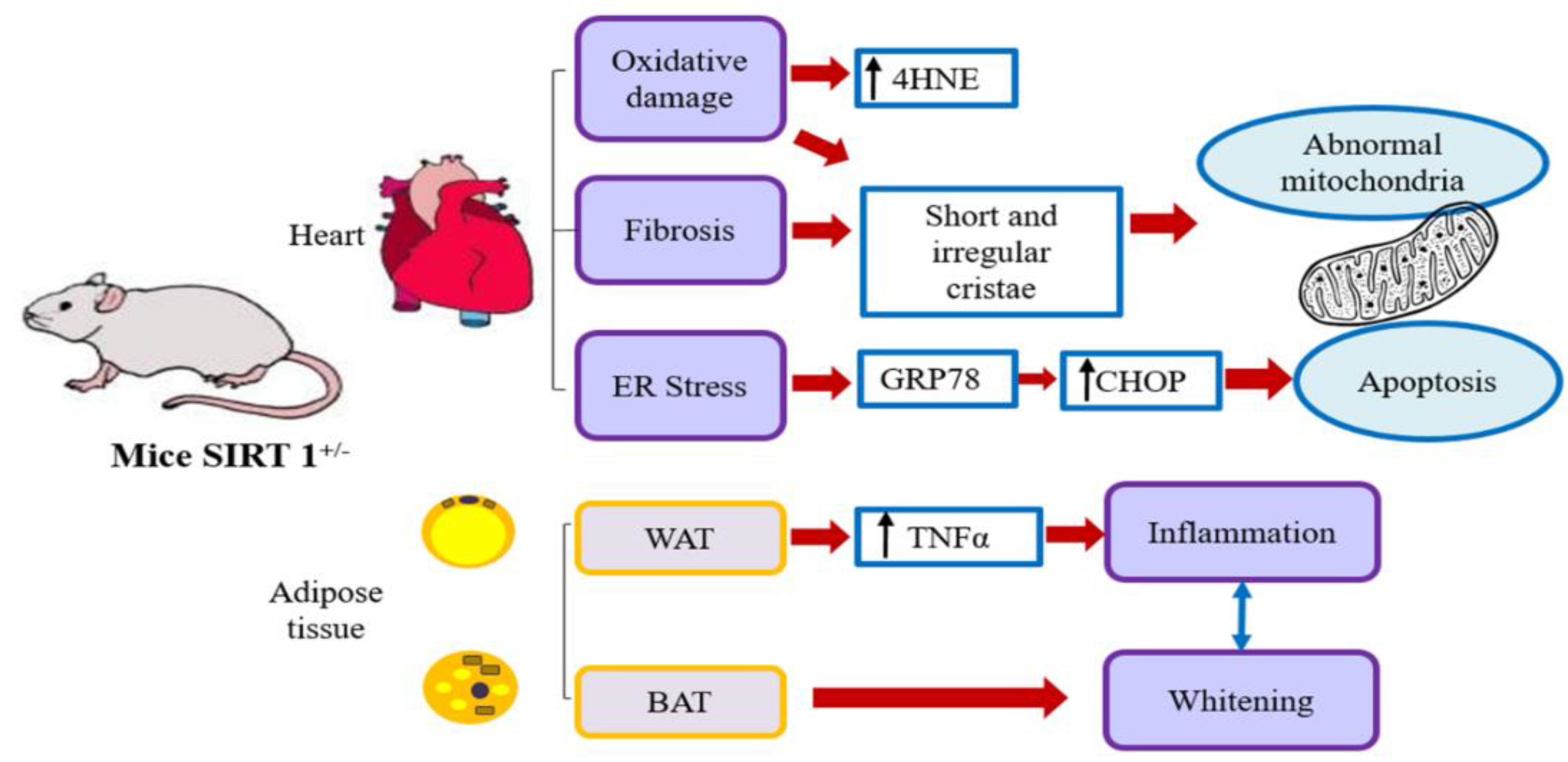 Ijms 25 00860 g009 Ijms 25 00860 g009