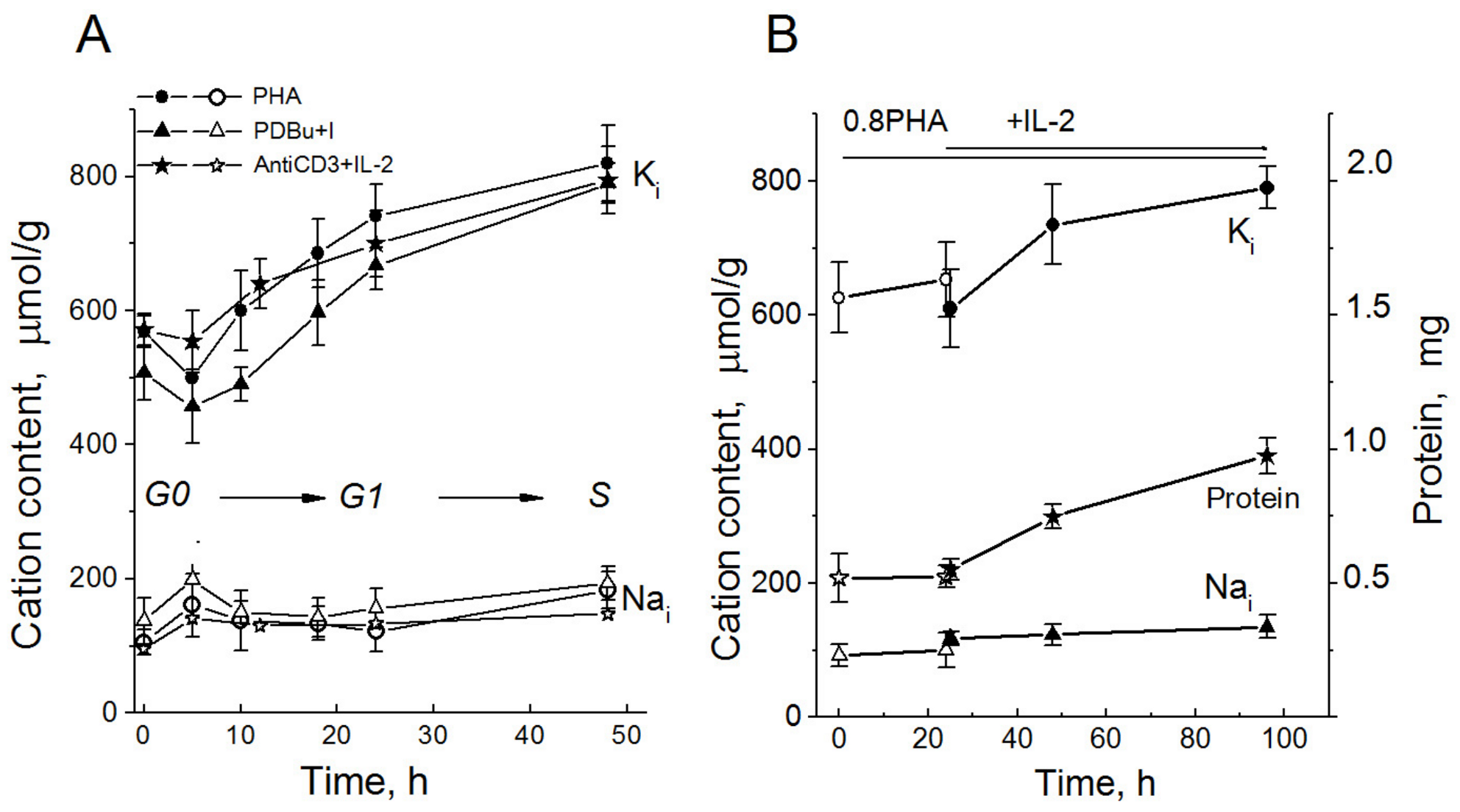 Ijms 25 00884 g003 Ijms 25 00884 g003