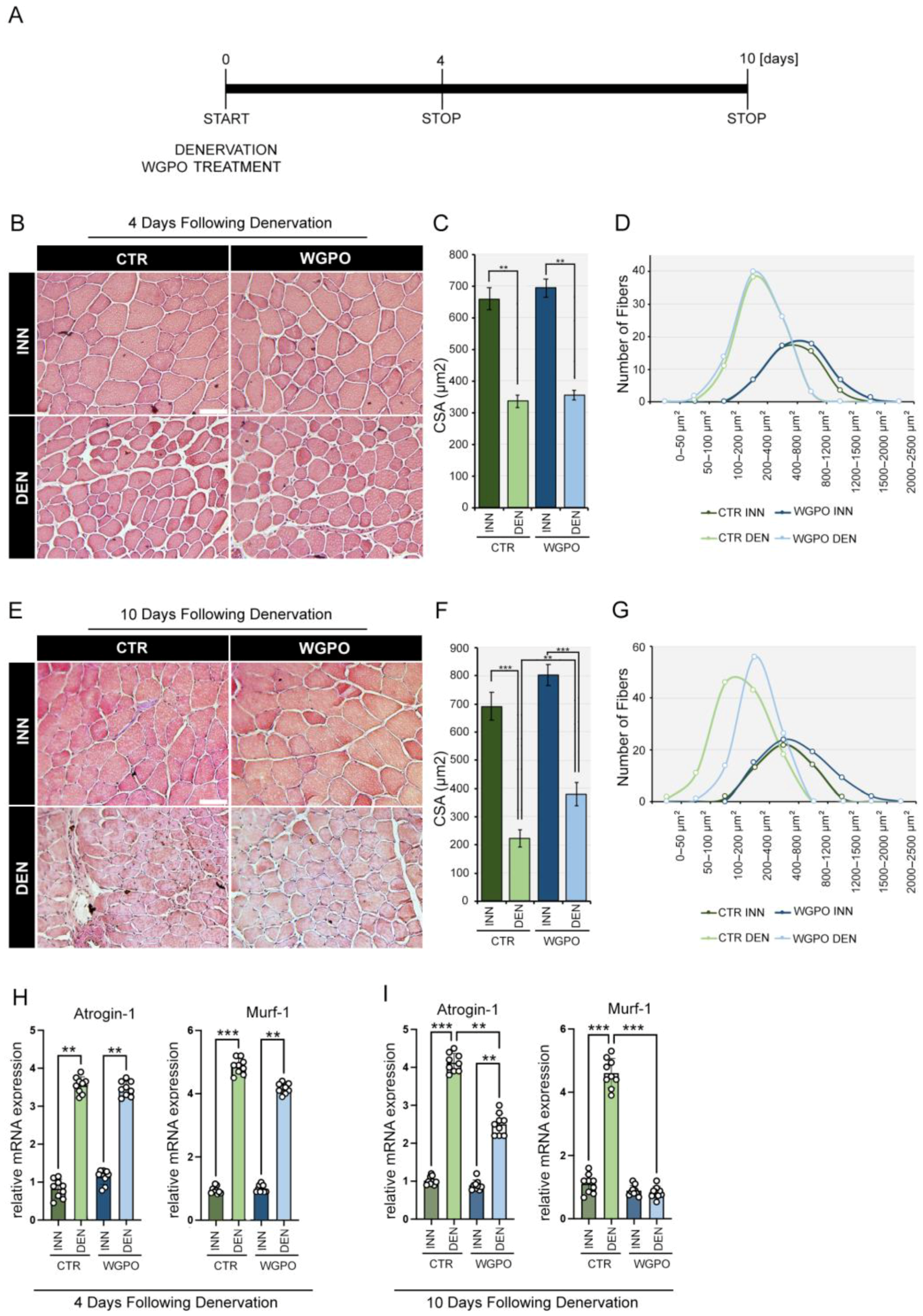 Ijms 25 00902 g001 Ijms 25 00902 g001
