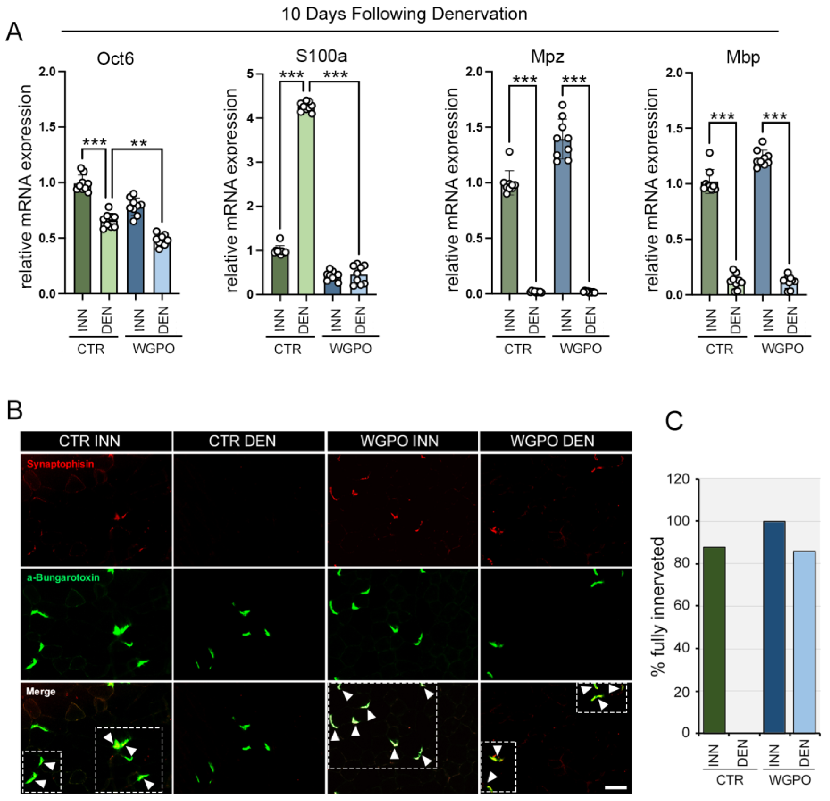 Ijms 25 00902 g002 Ijms 25 00902 g002