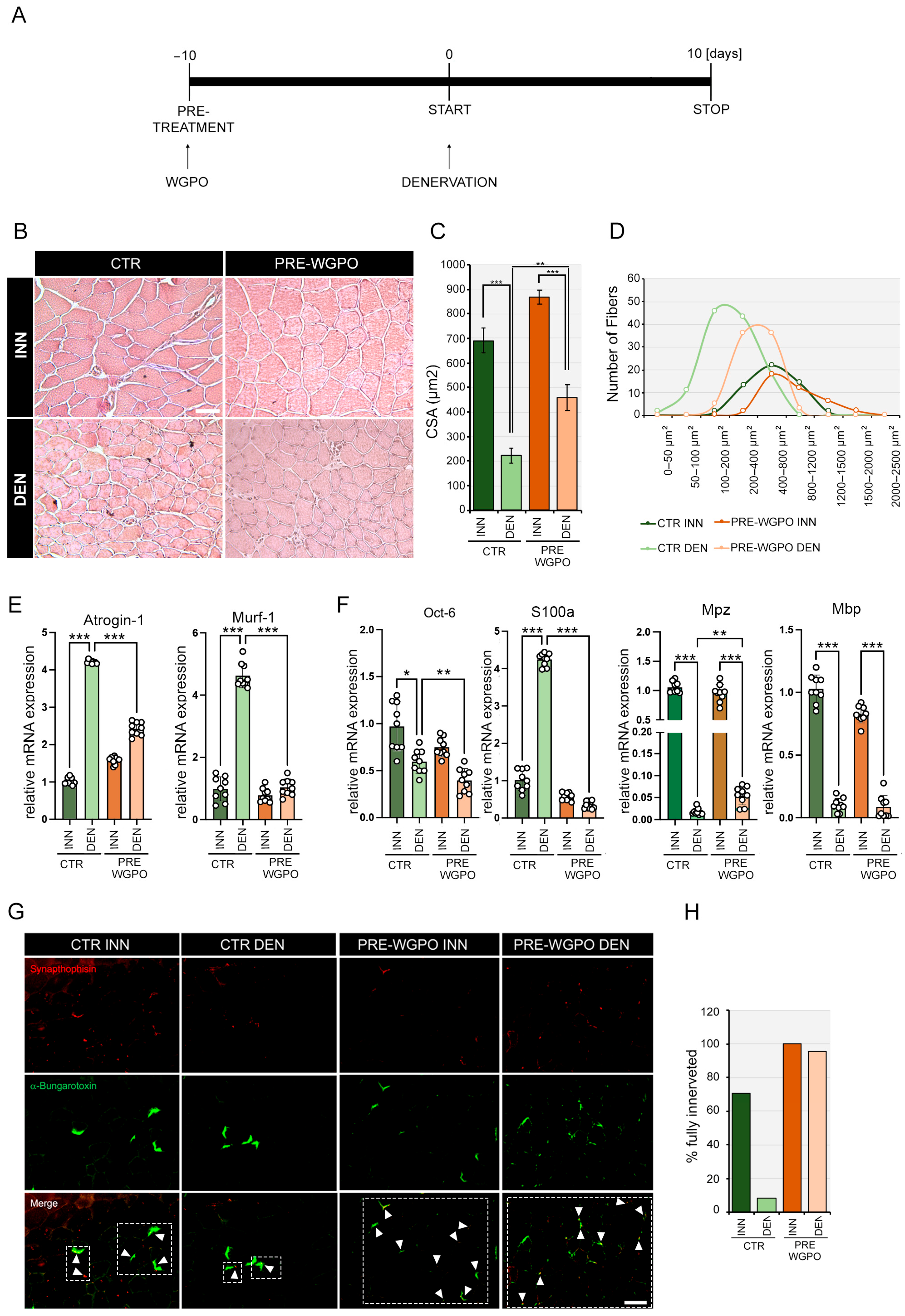 Ijms 25 00902 g003 Ijms 25 00902 g003