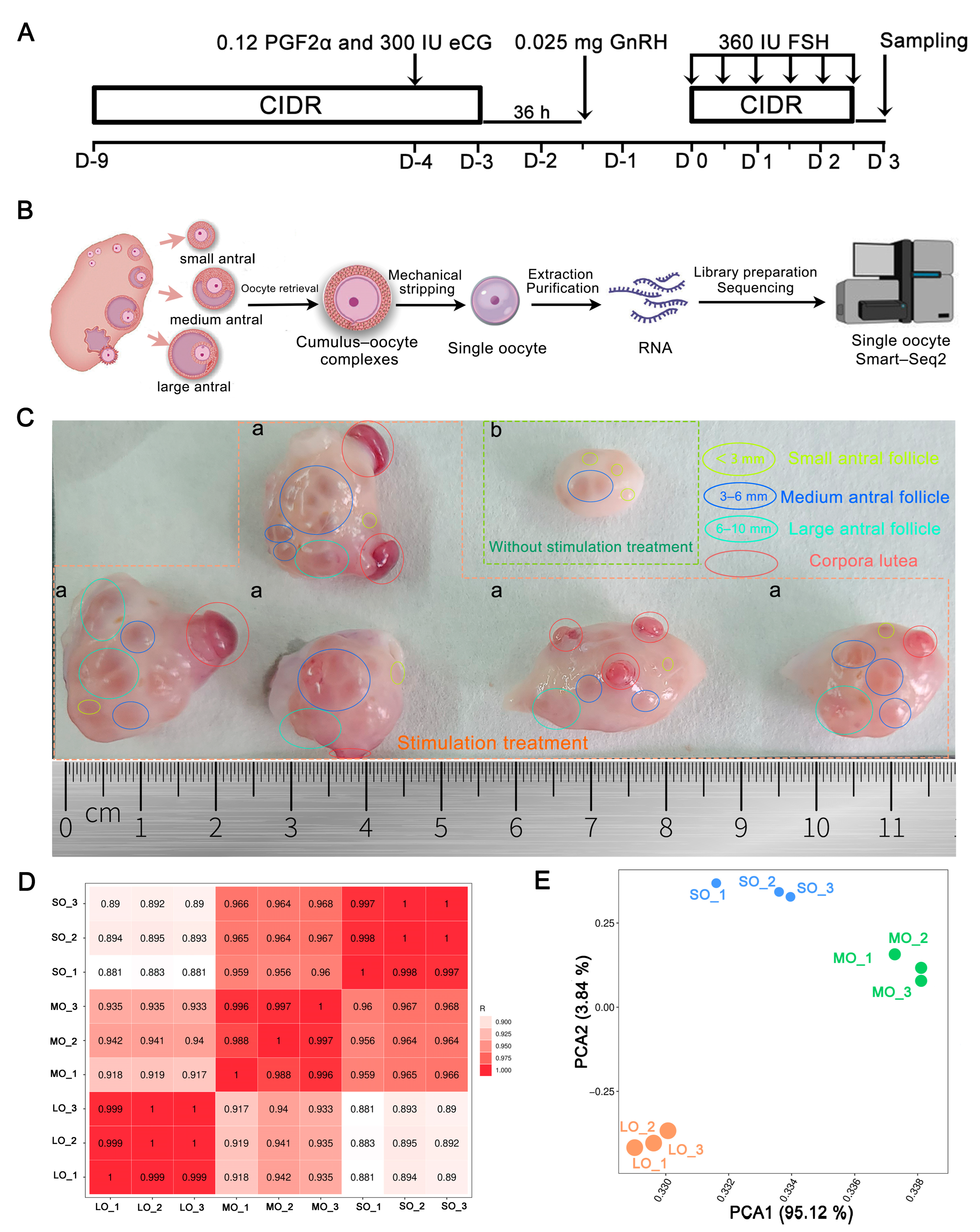Ijms 25 00910 g001 Ijms 25 00910 g001