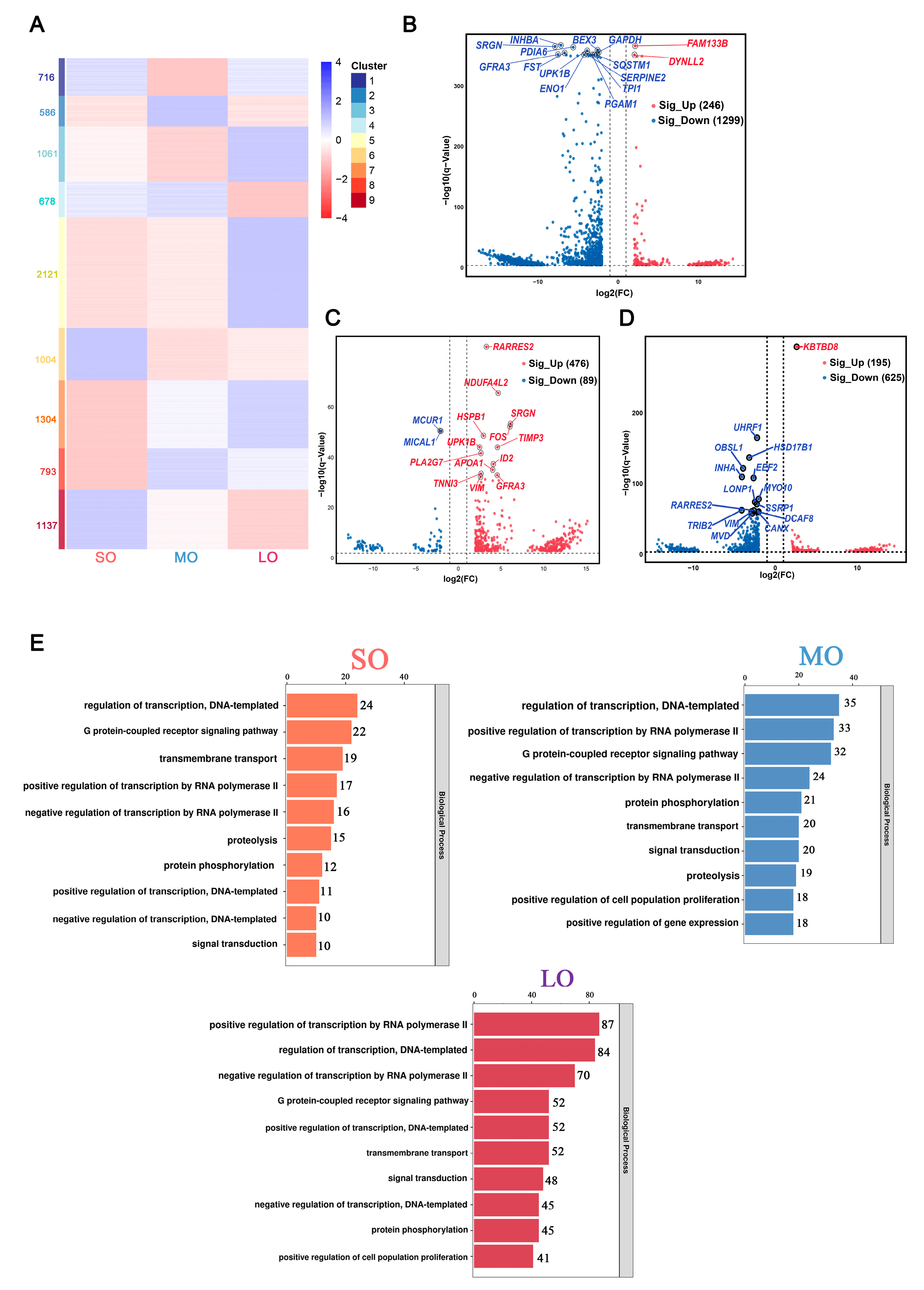 Ijms 25 00910 g002 Ijms 25 00910 g002