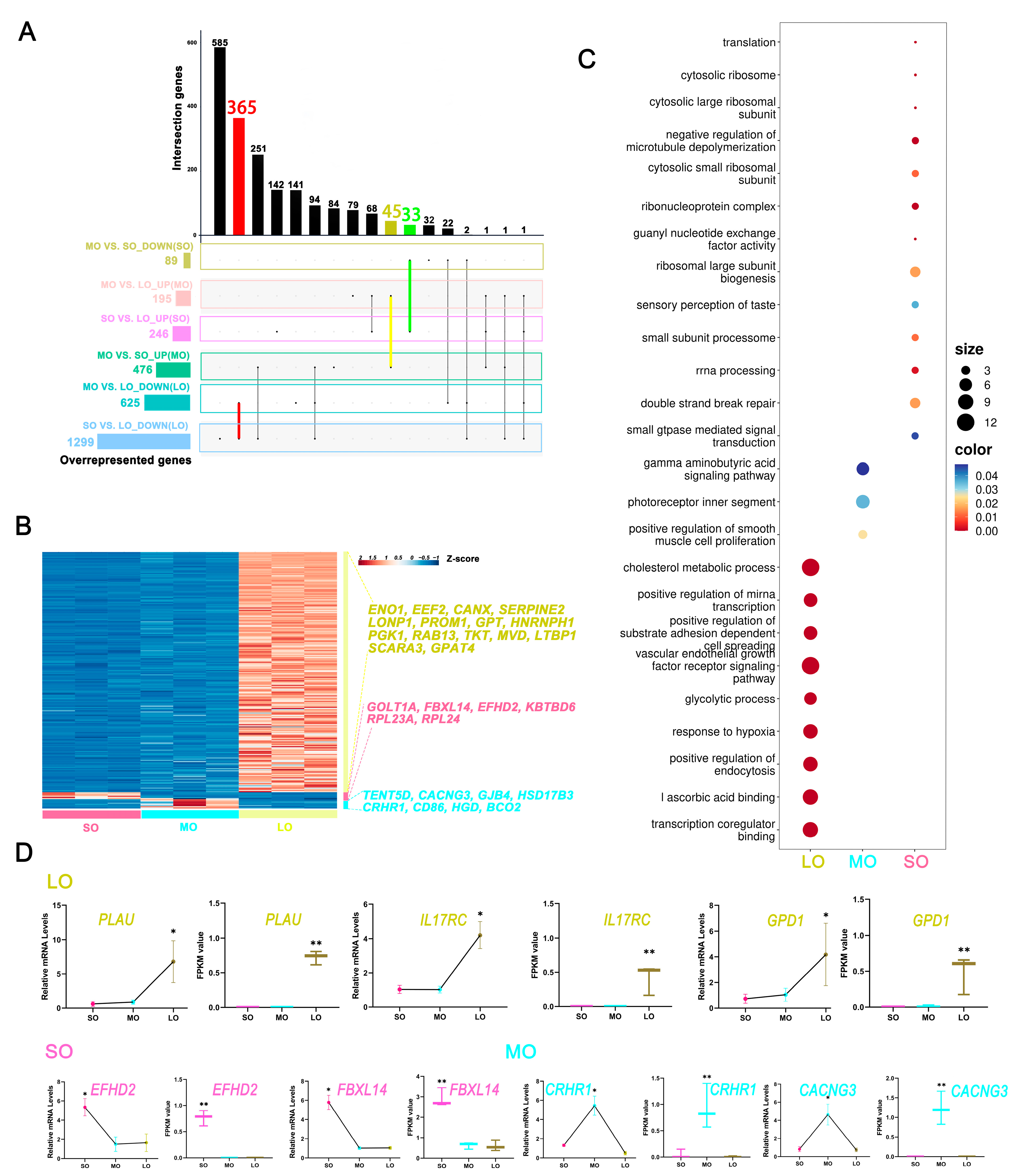 Ijms 25 00910 g003 Ijms 25 00910 g003