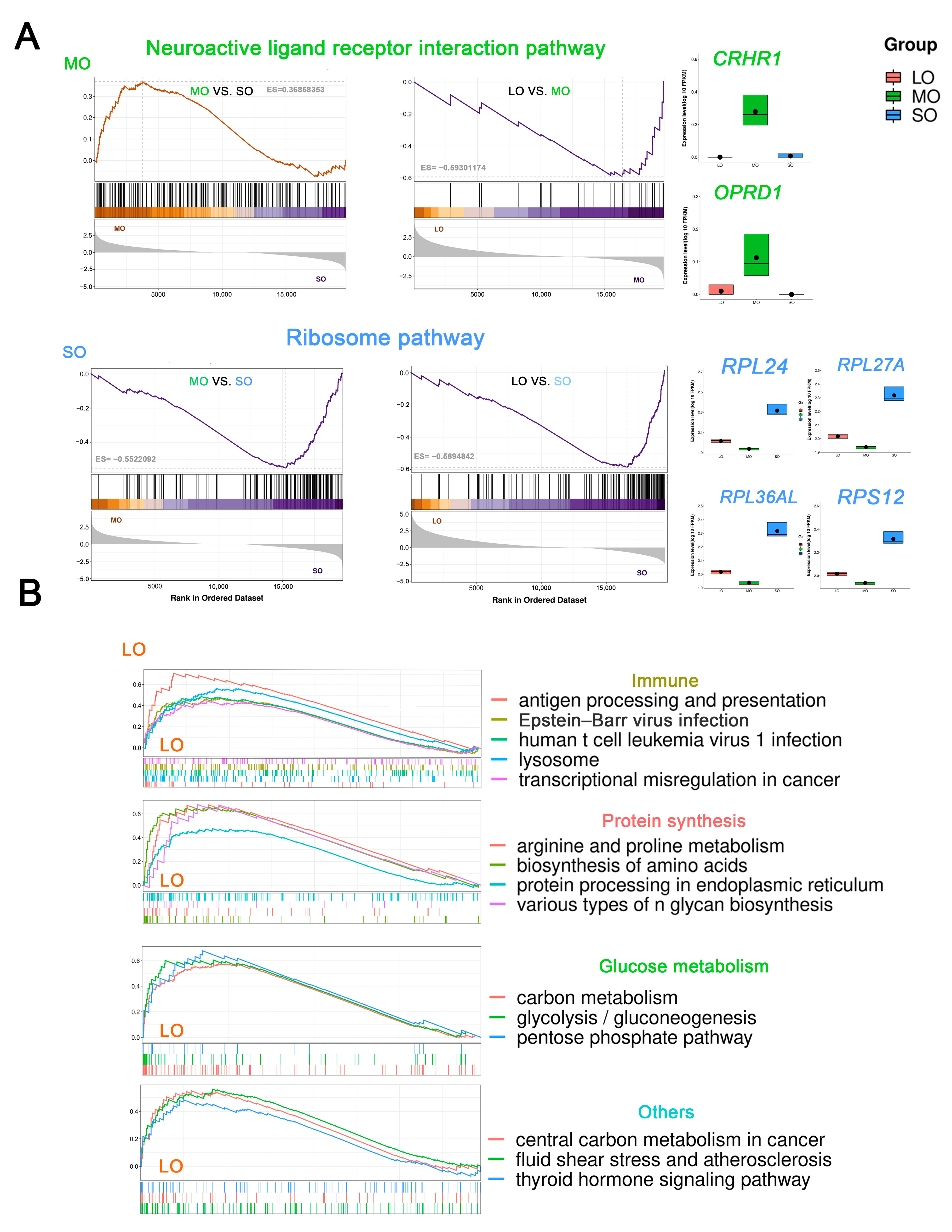 Ijms 25 00910 g004 Ijms 25 00910 g004