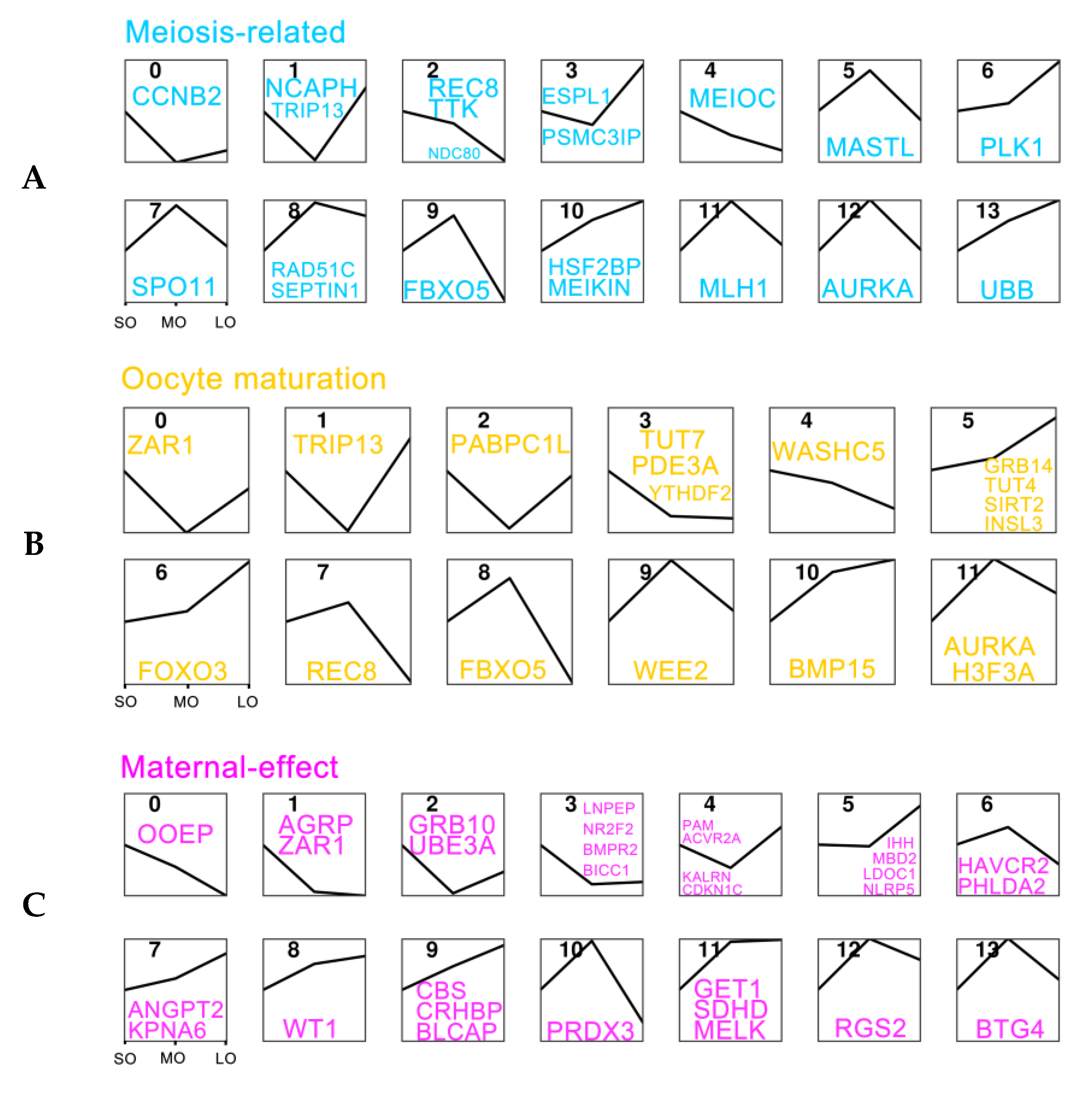 Ijms 25 00910 g005 Ijms 25 00910 g005