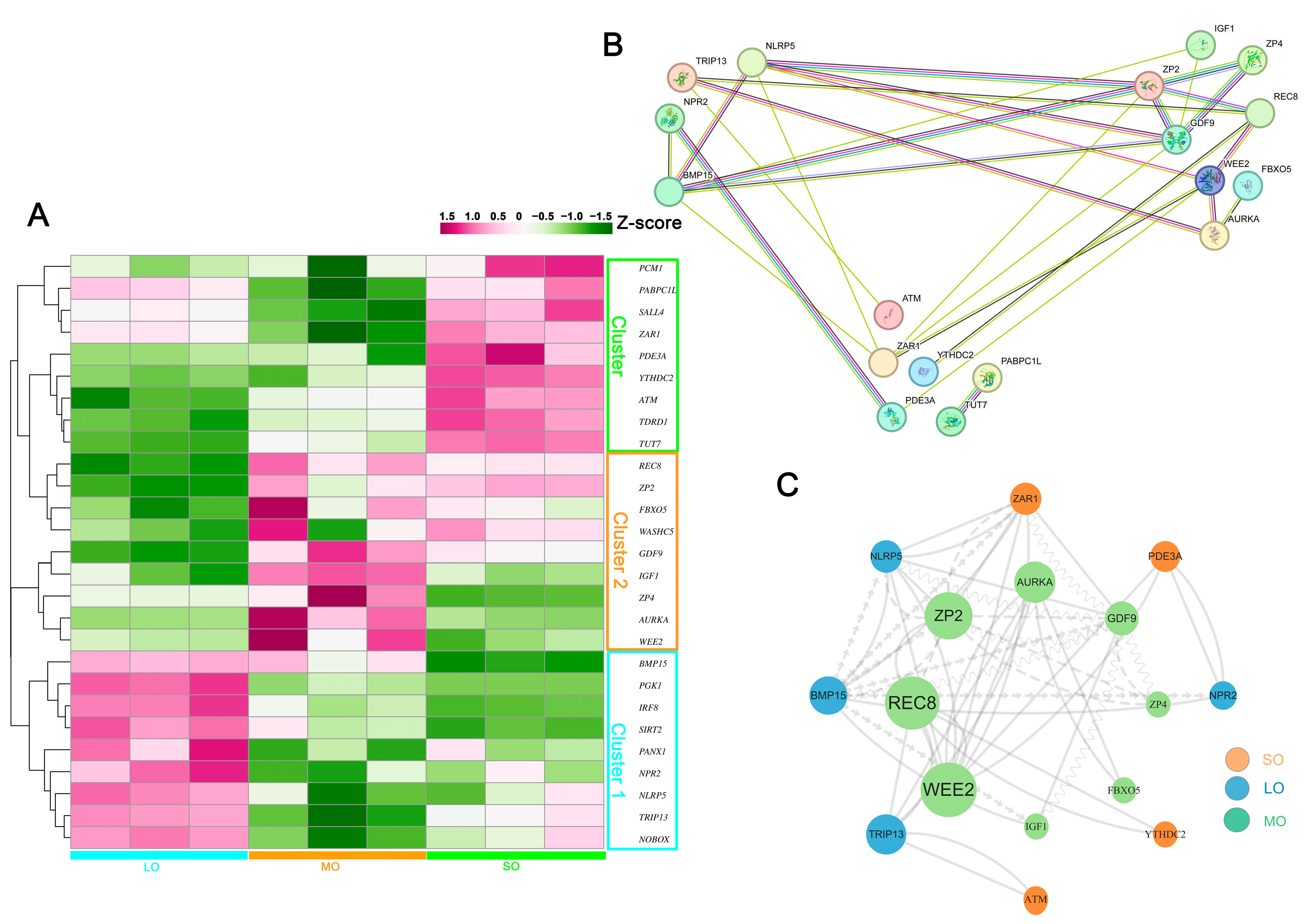 Ijms 25 00910 g006 Ijms 25 00910 g006