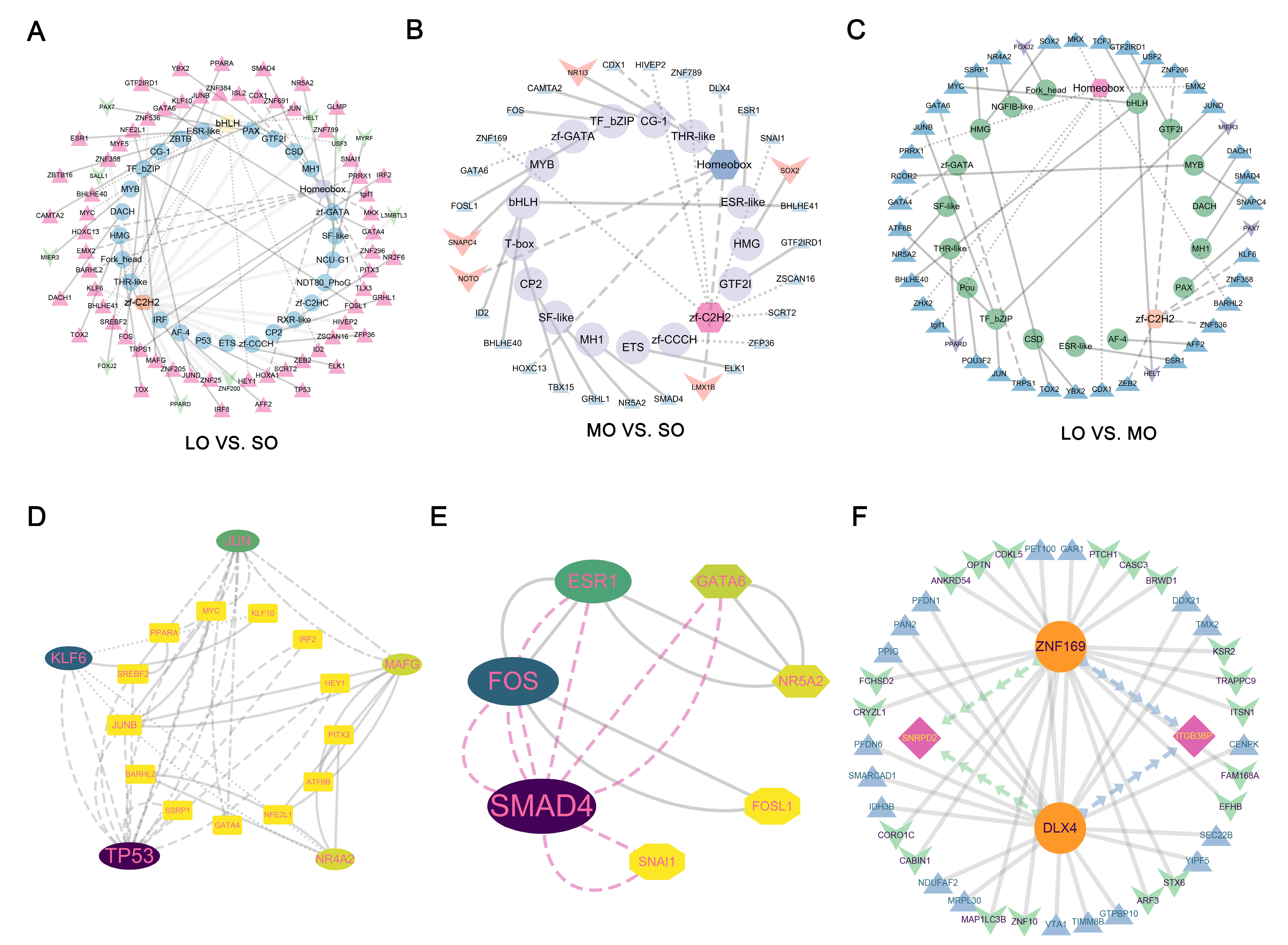 Ijms 25 00910 g007 Ijms 25 00910 g007