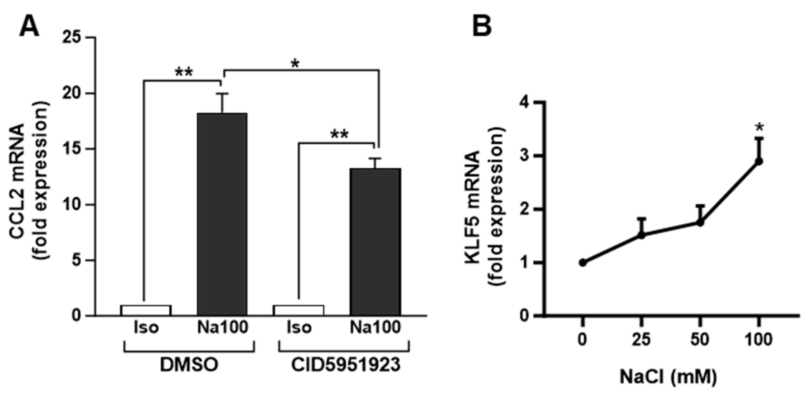 Ijms 25 00915 g005 Ijms 25 00915 g005