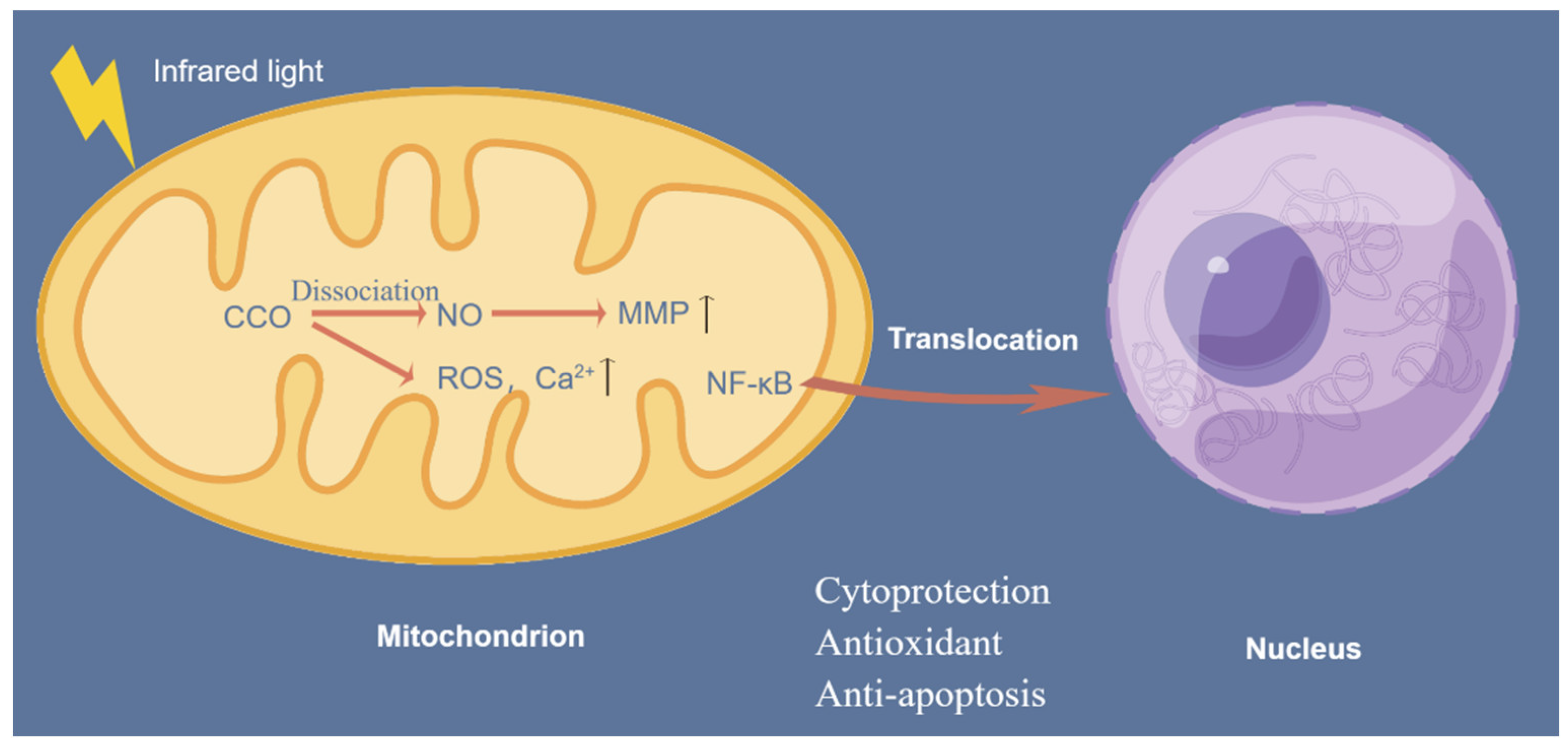 Ijms 25 00928 g003 Ijms 25 00928 g003