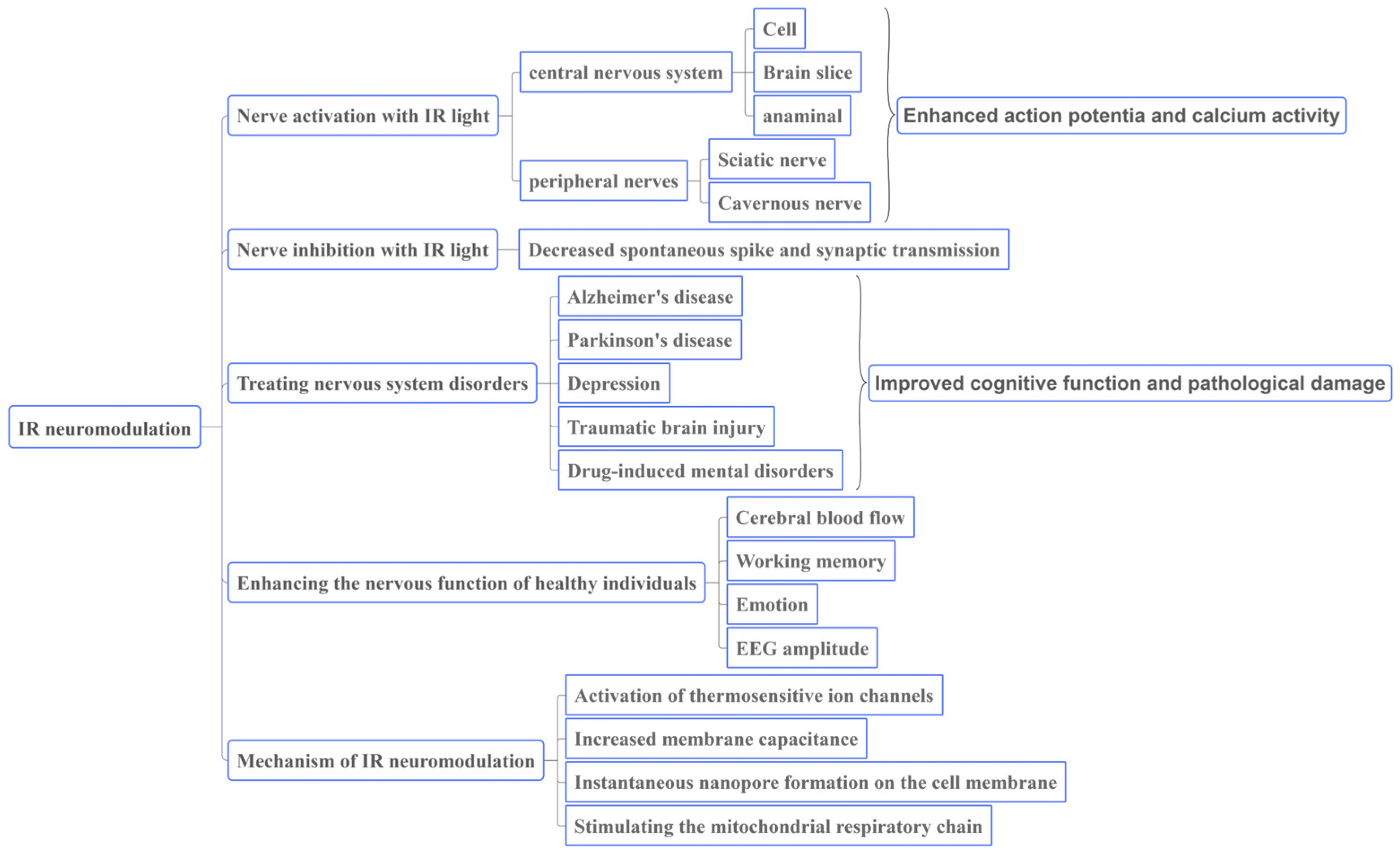 Ijms 25 00928 g004 Ijms 25 00928 g004