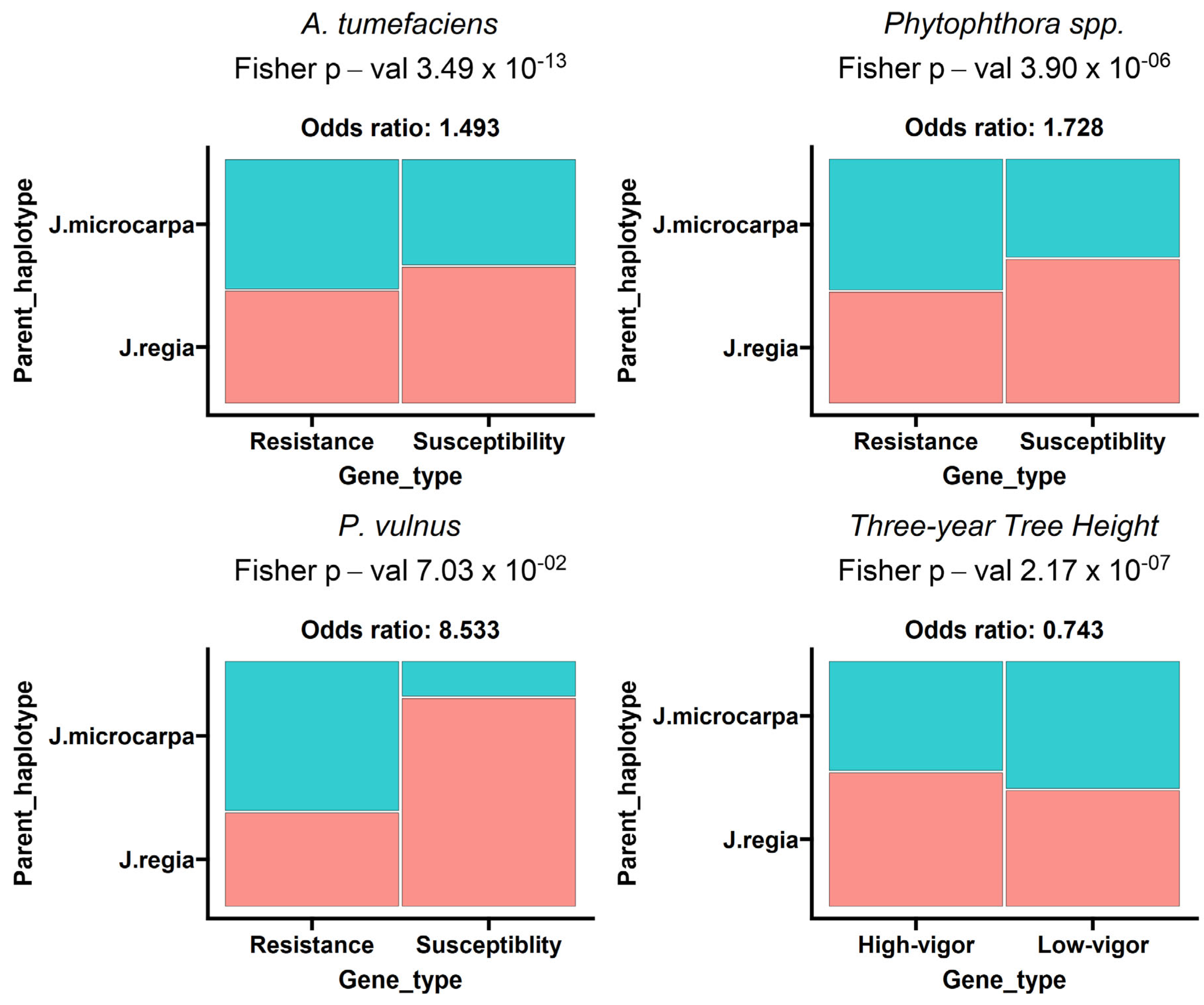 Ijms 25 00931 g002 Ijms 25 00931 g002