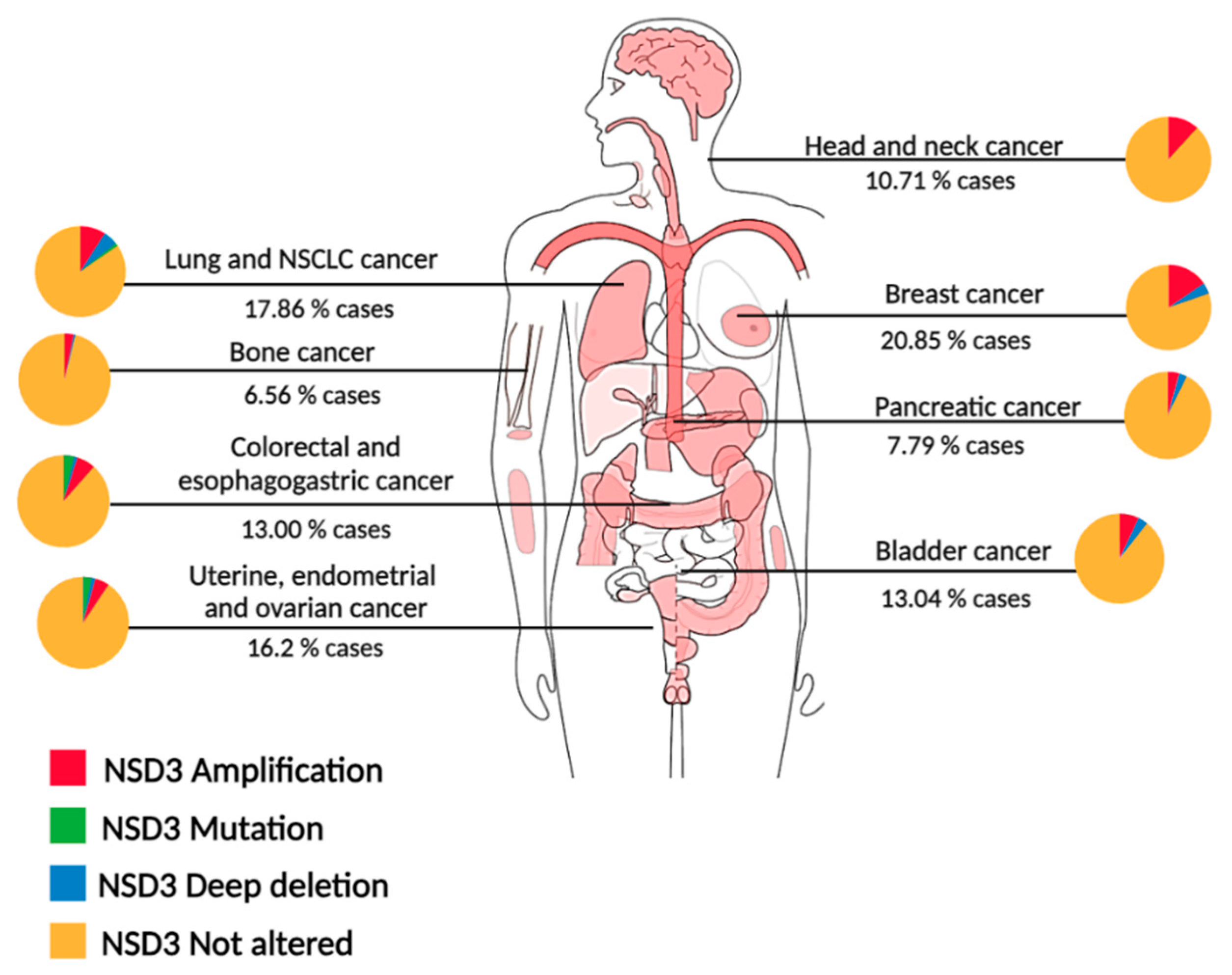 Ijms 25 00944 g002 Ijms 25 00944 g002