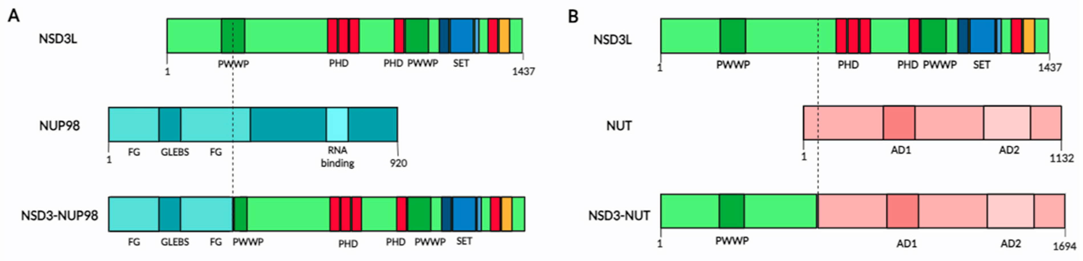 Ijms 25 00944 g003 Ijms 25 00944 g003