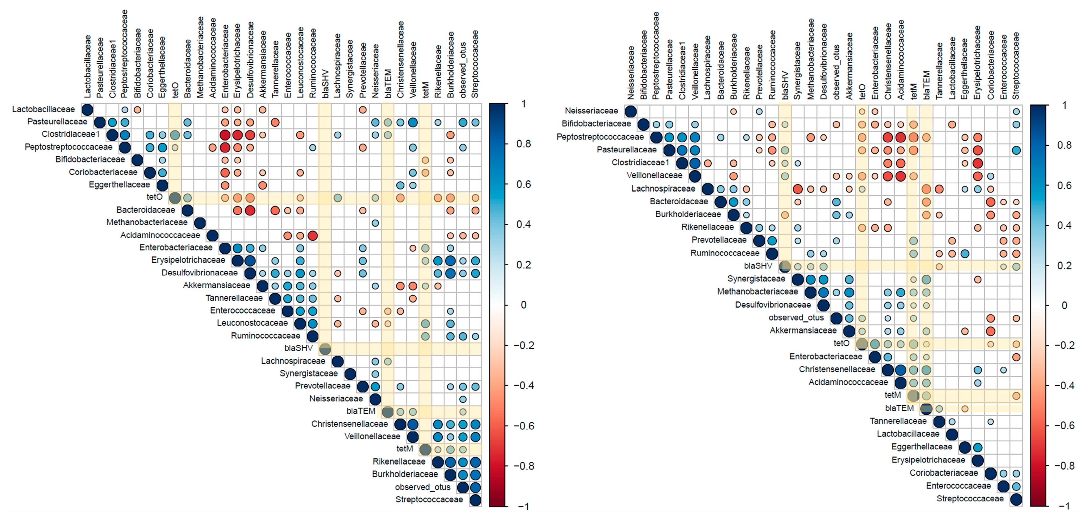Ijms 25 01003 g003 Ijms 25 01003 g003