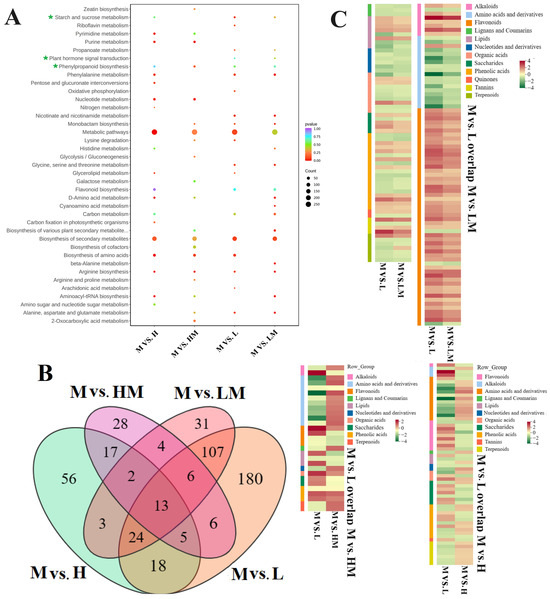 Network Analysis of Metabolome and Transcriptome Revealed