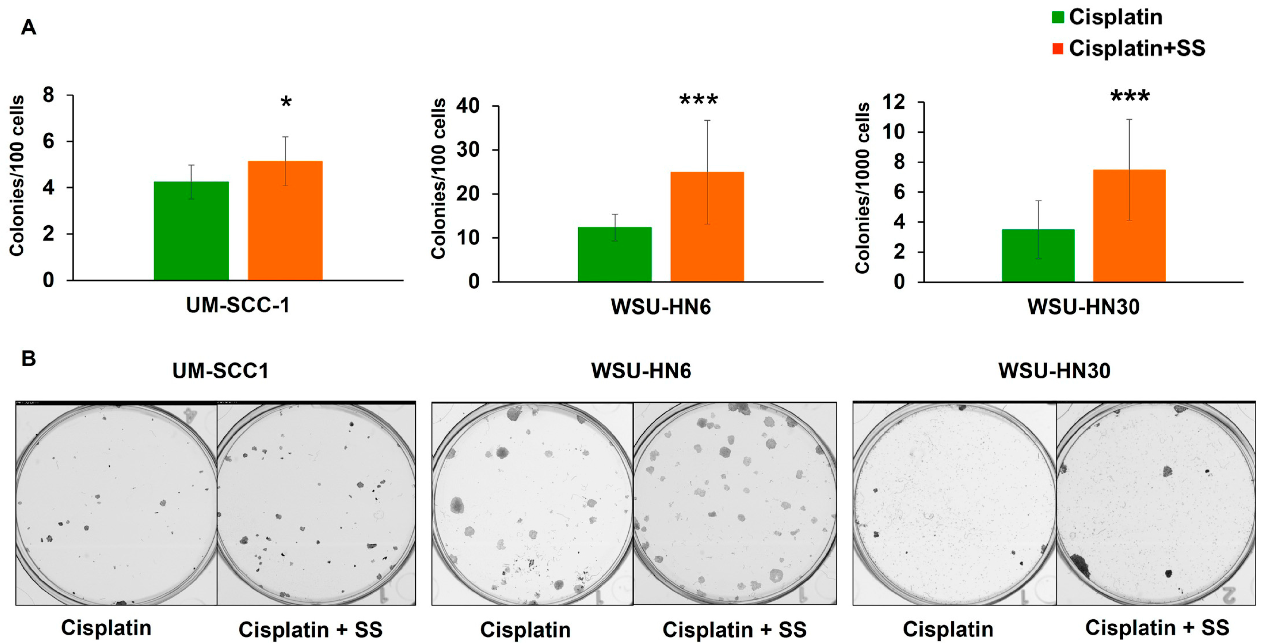 Ijms 25 01032 g006 Ijms 25 01032 g006