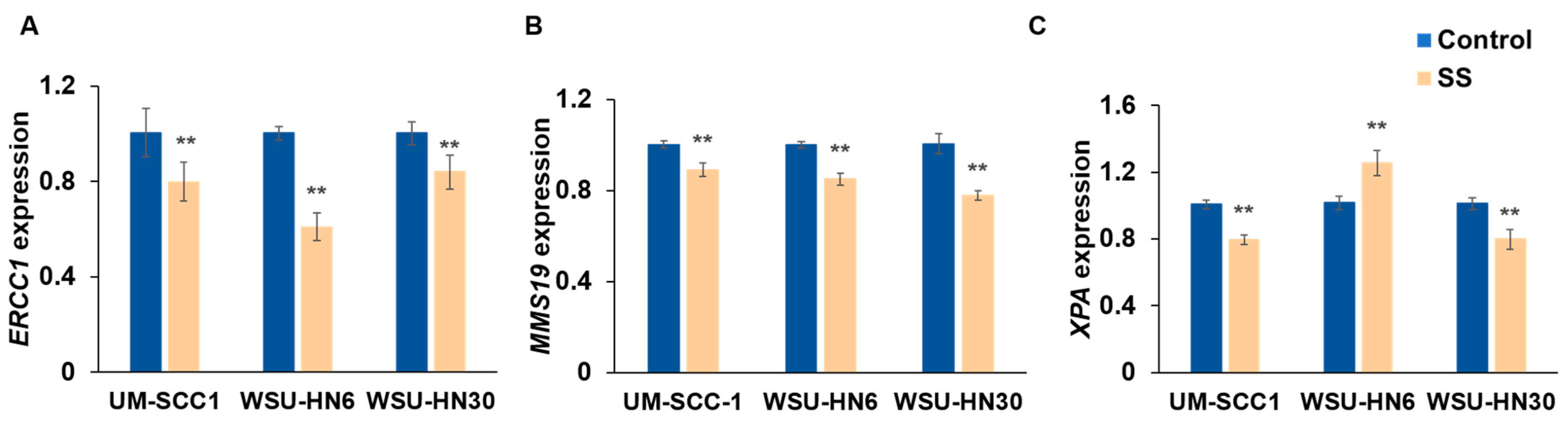 Ijms 25 01032 g007 Ijms 25 01032 g007