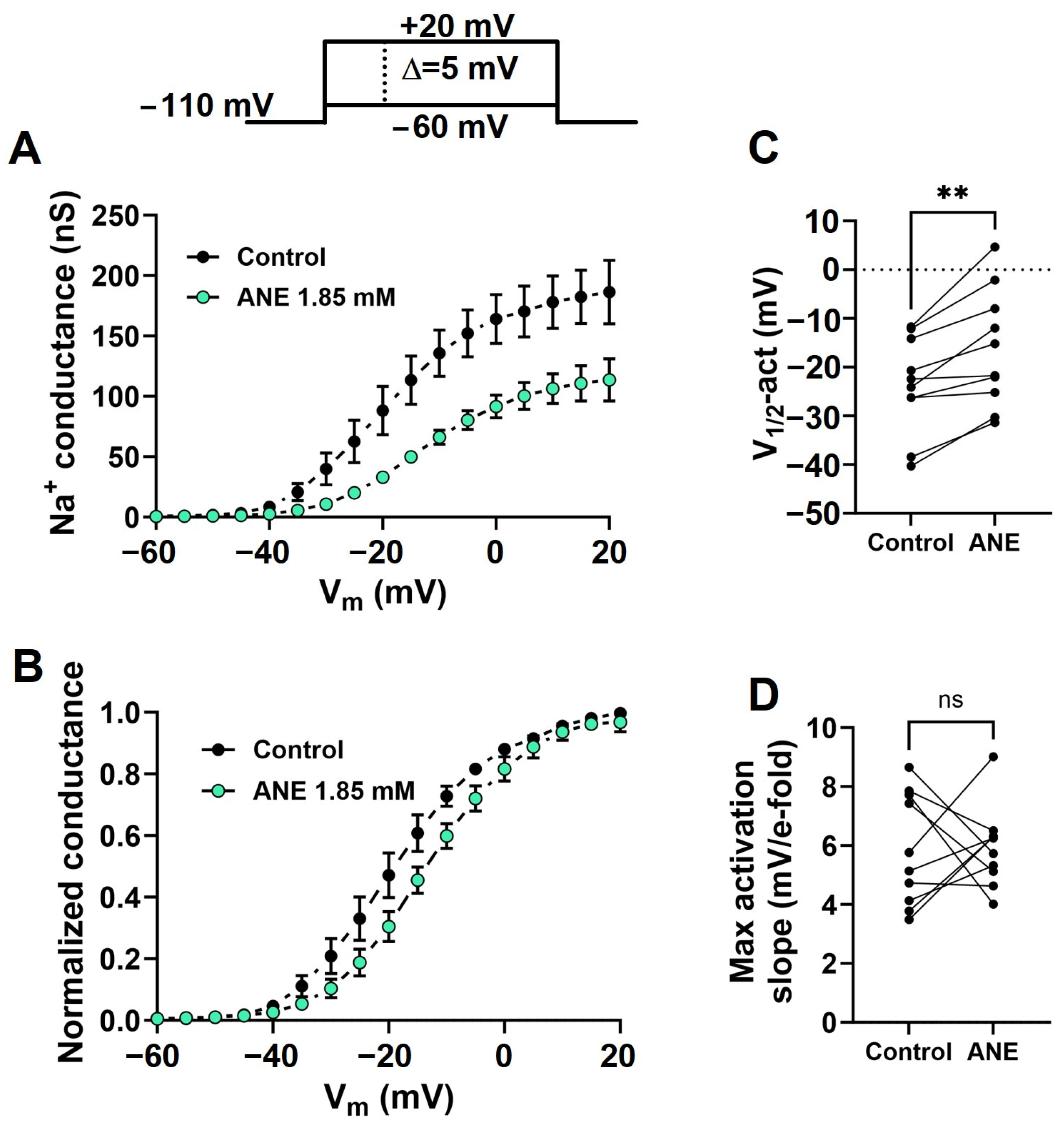 Ijms 25 01034 g004 Ijms 25 01034 g004