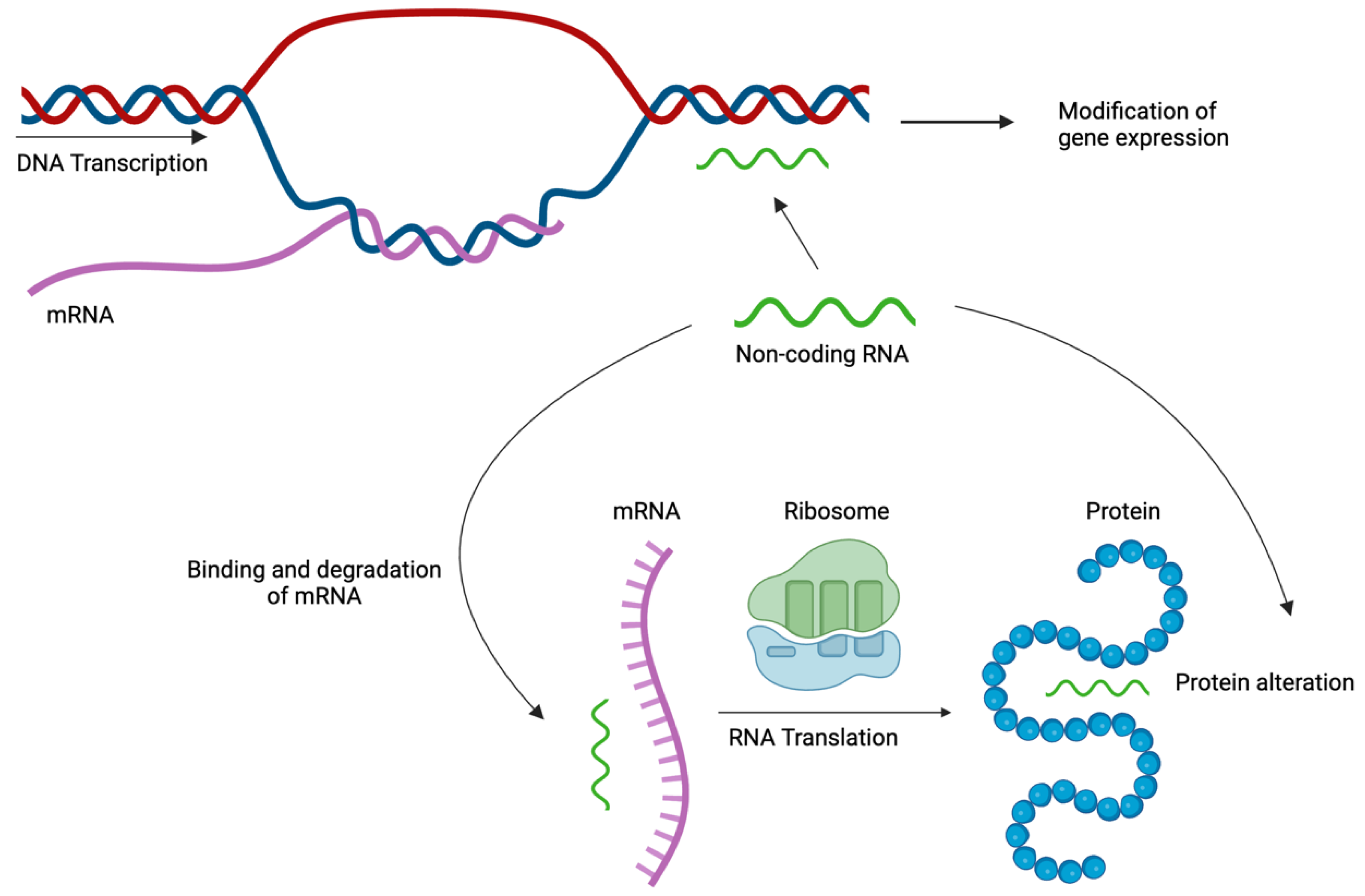Multi-Omics Approach to Improved Diagnosis and Treatment of