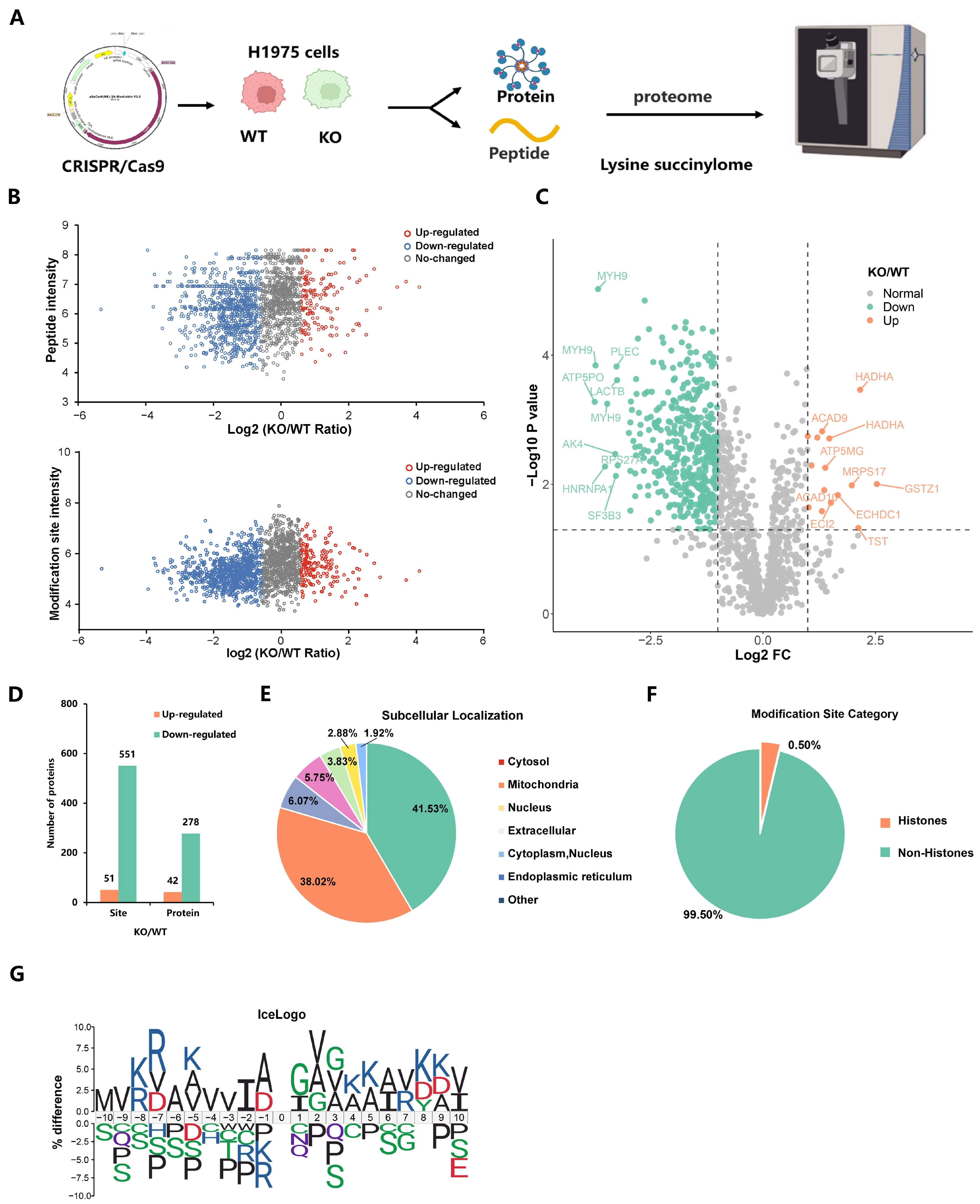 Ijms 25 01057 g002 Ijms 25 01057 g002