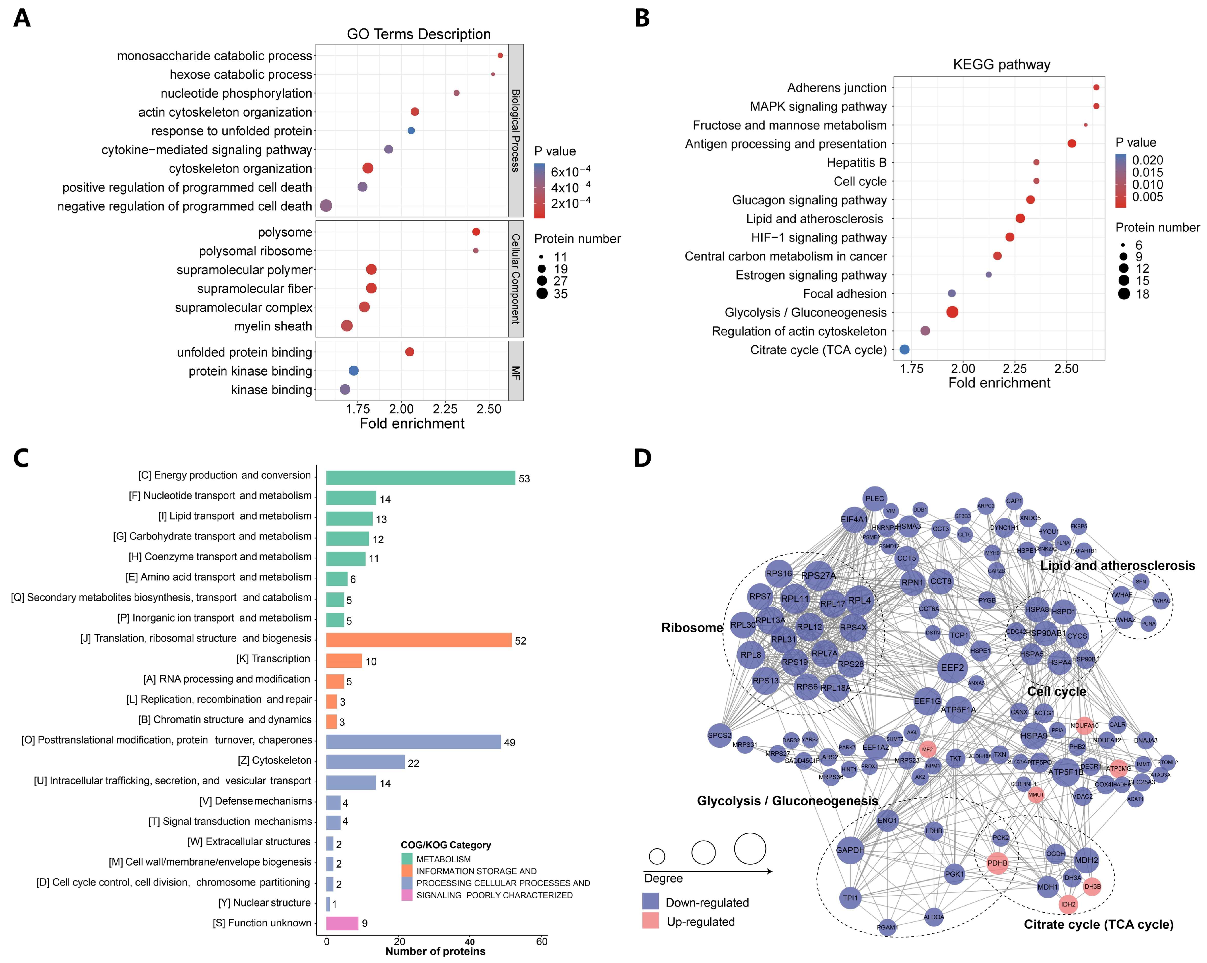 Ijms 25 01057 g003 Ijms 25 01057 g003