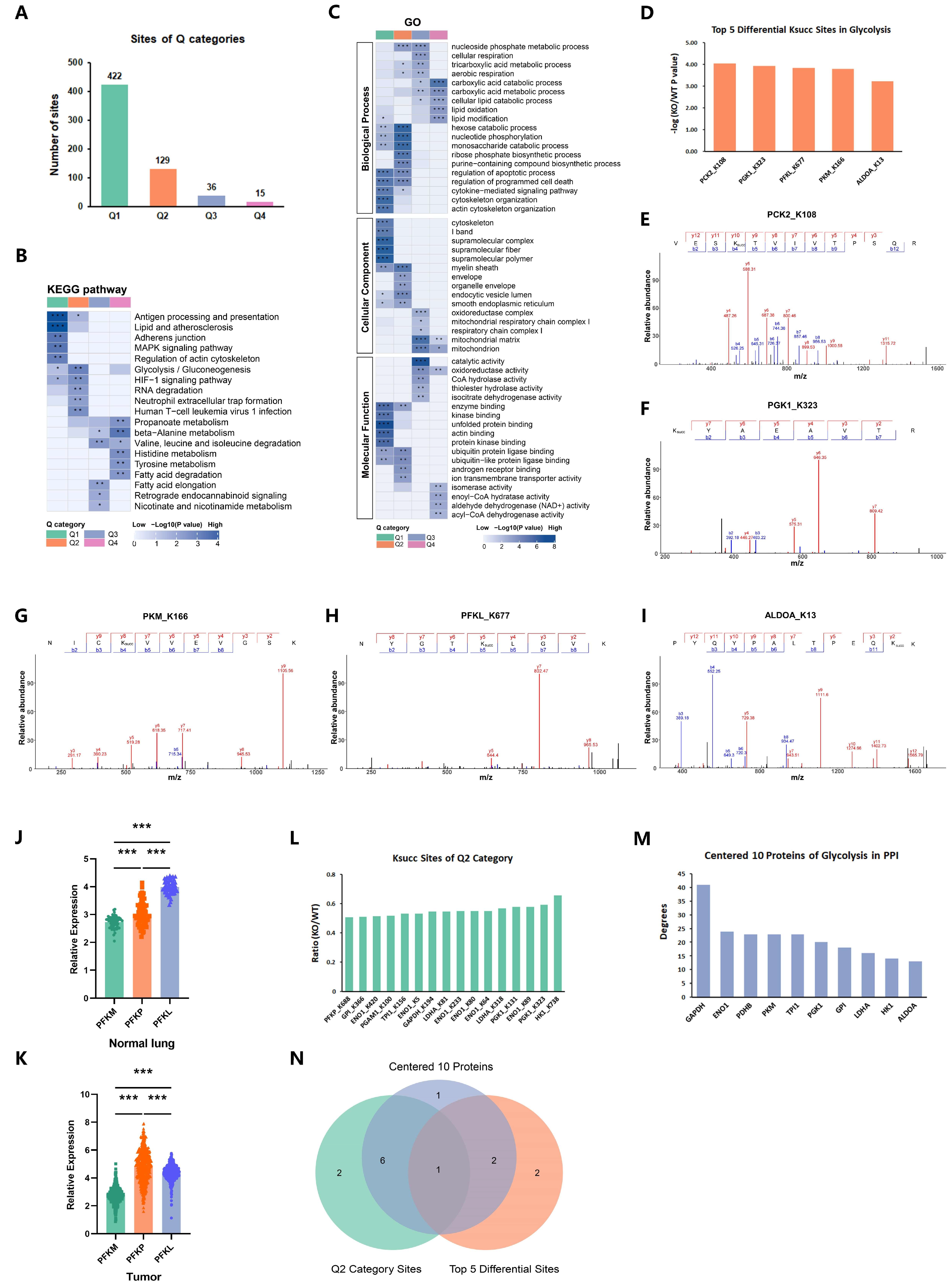 Ijms 25 01057 g004 Ijms 25 01057 g004