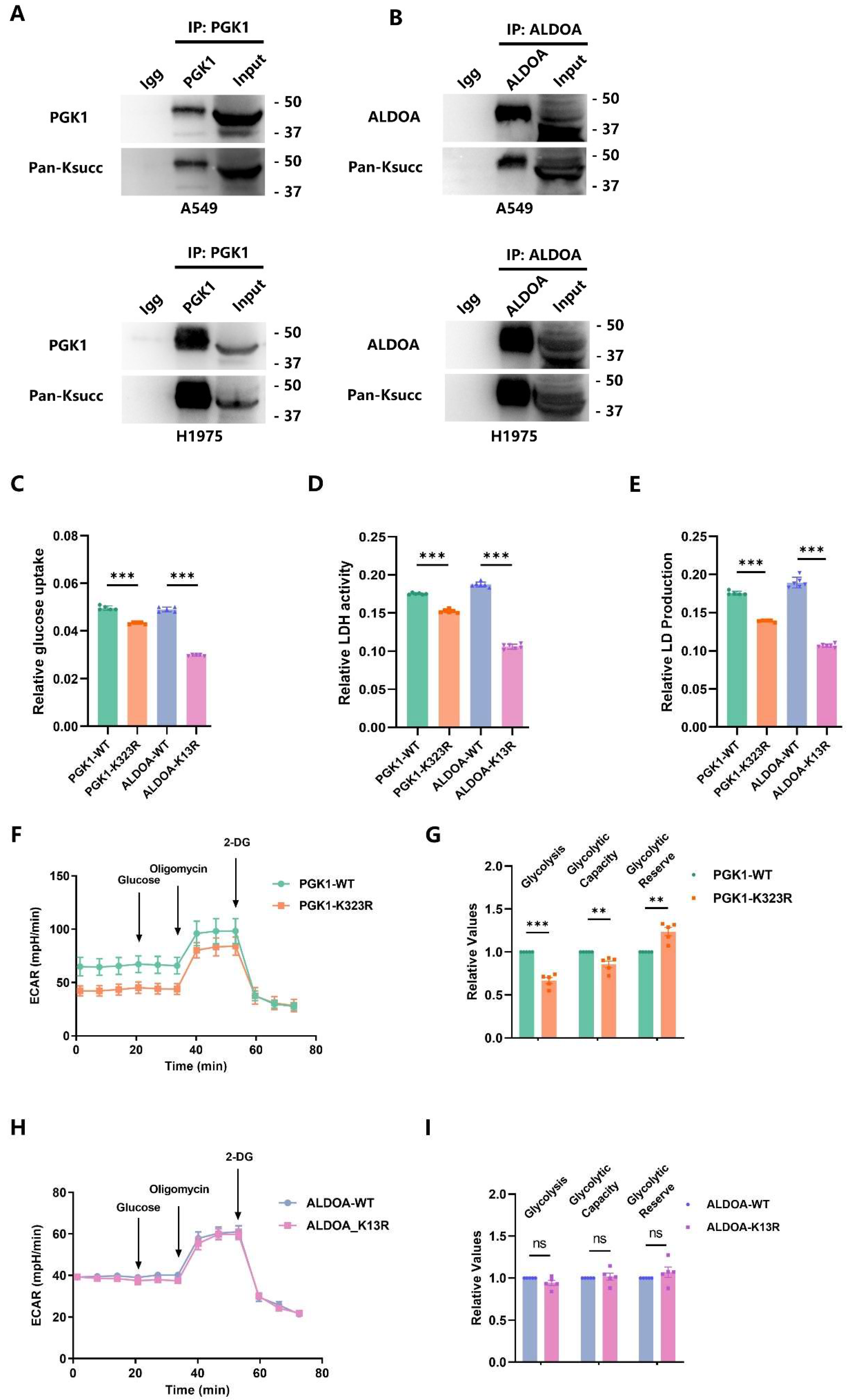 Ijms 25 01057 g005 Ijms 25 01057 g005