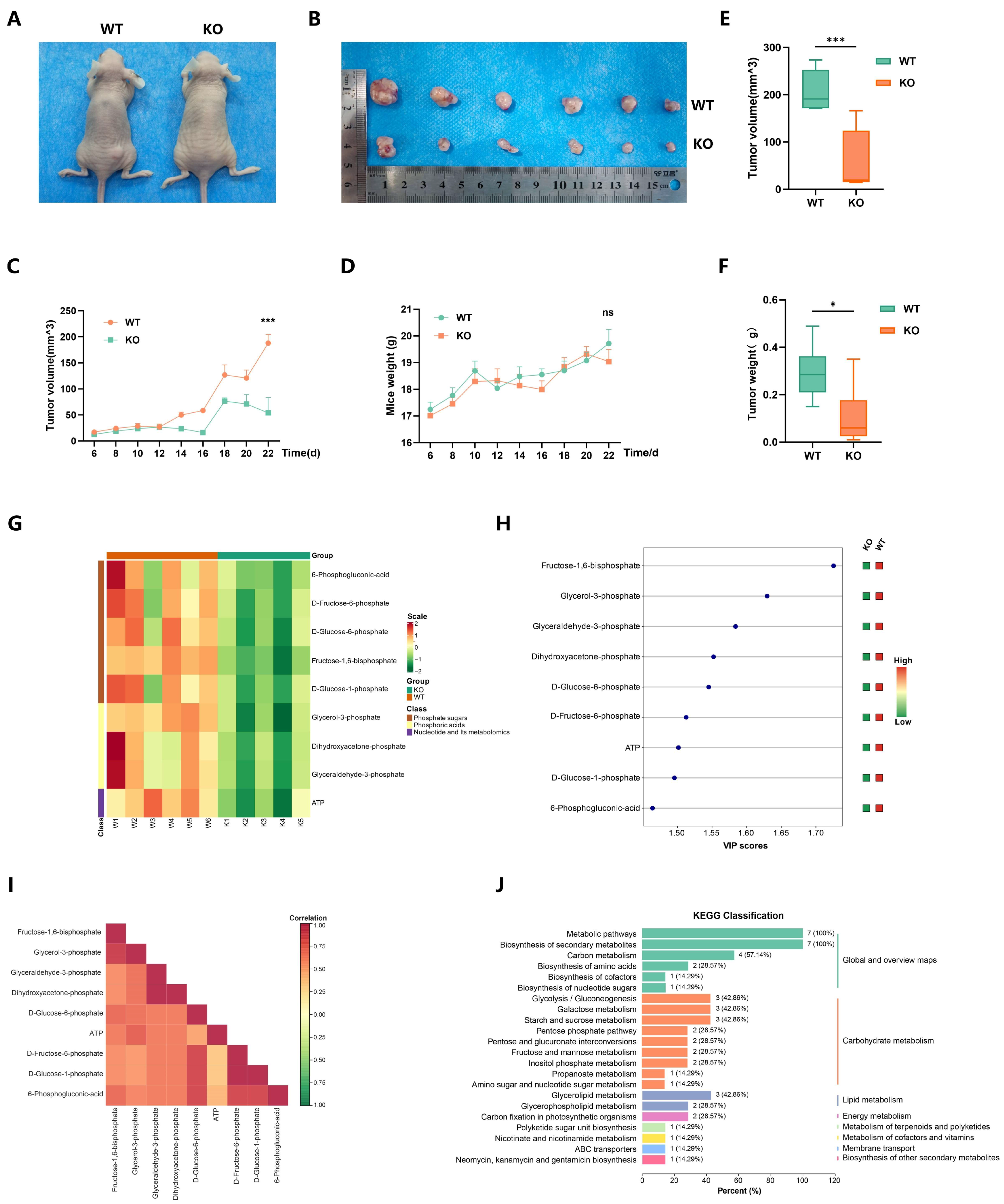 Ijms 25 01057 g006 Ijms 25 01057 g006