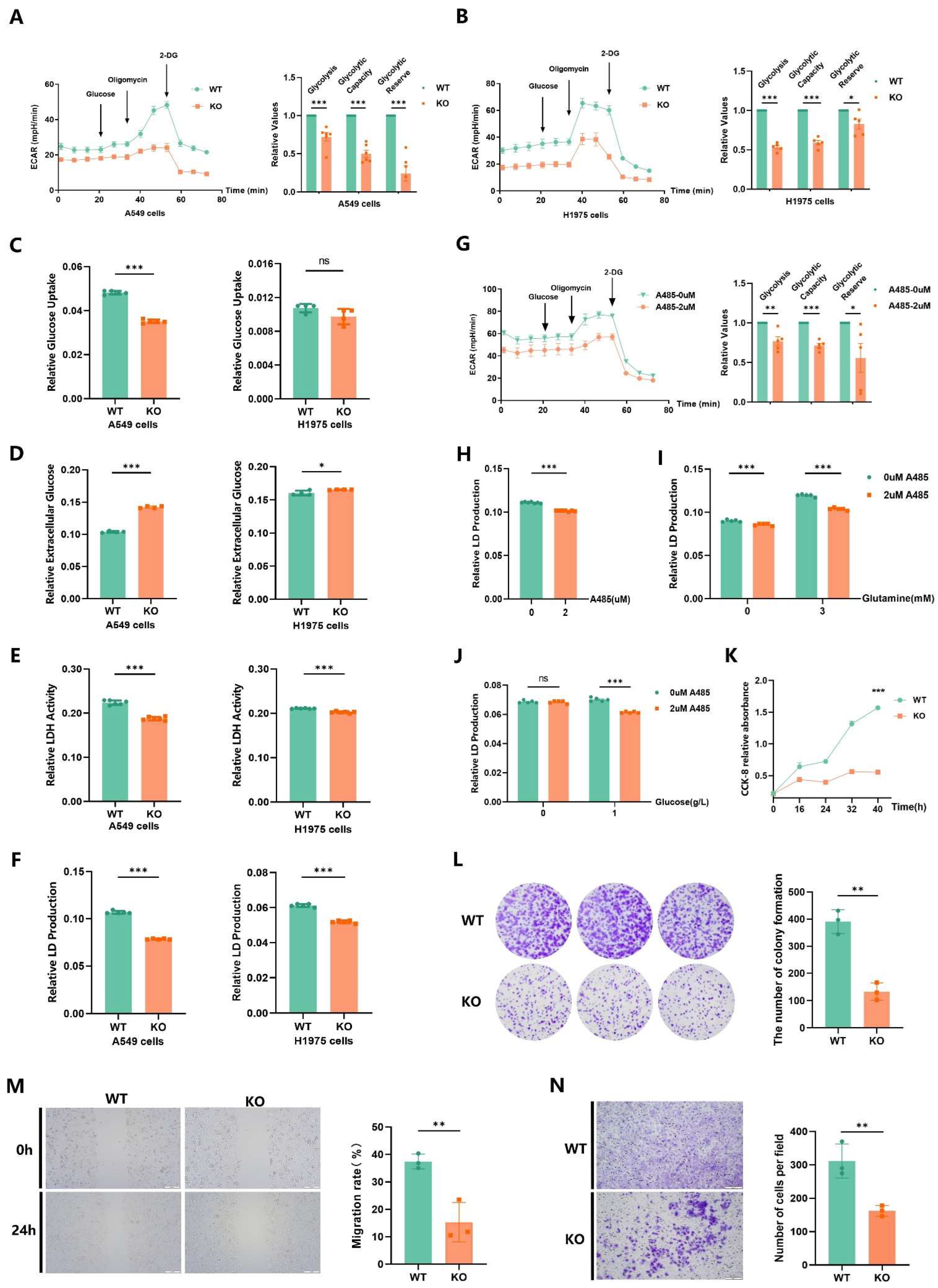 Ijms 25 01057 g007 Ijms 25 01057 g007