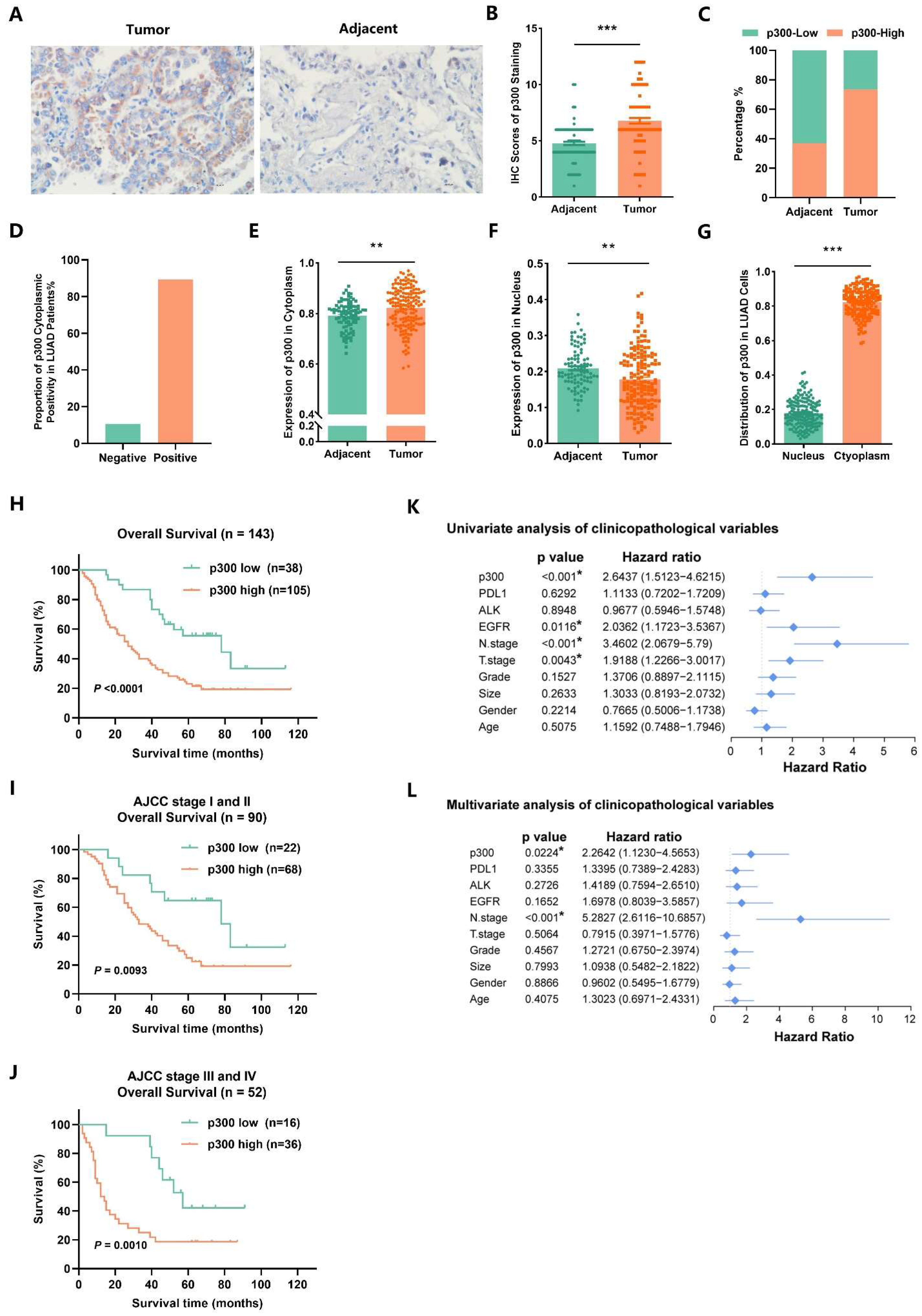 Ijms 25 01057 g008 Ijms 25 01057 g008