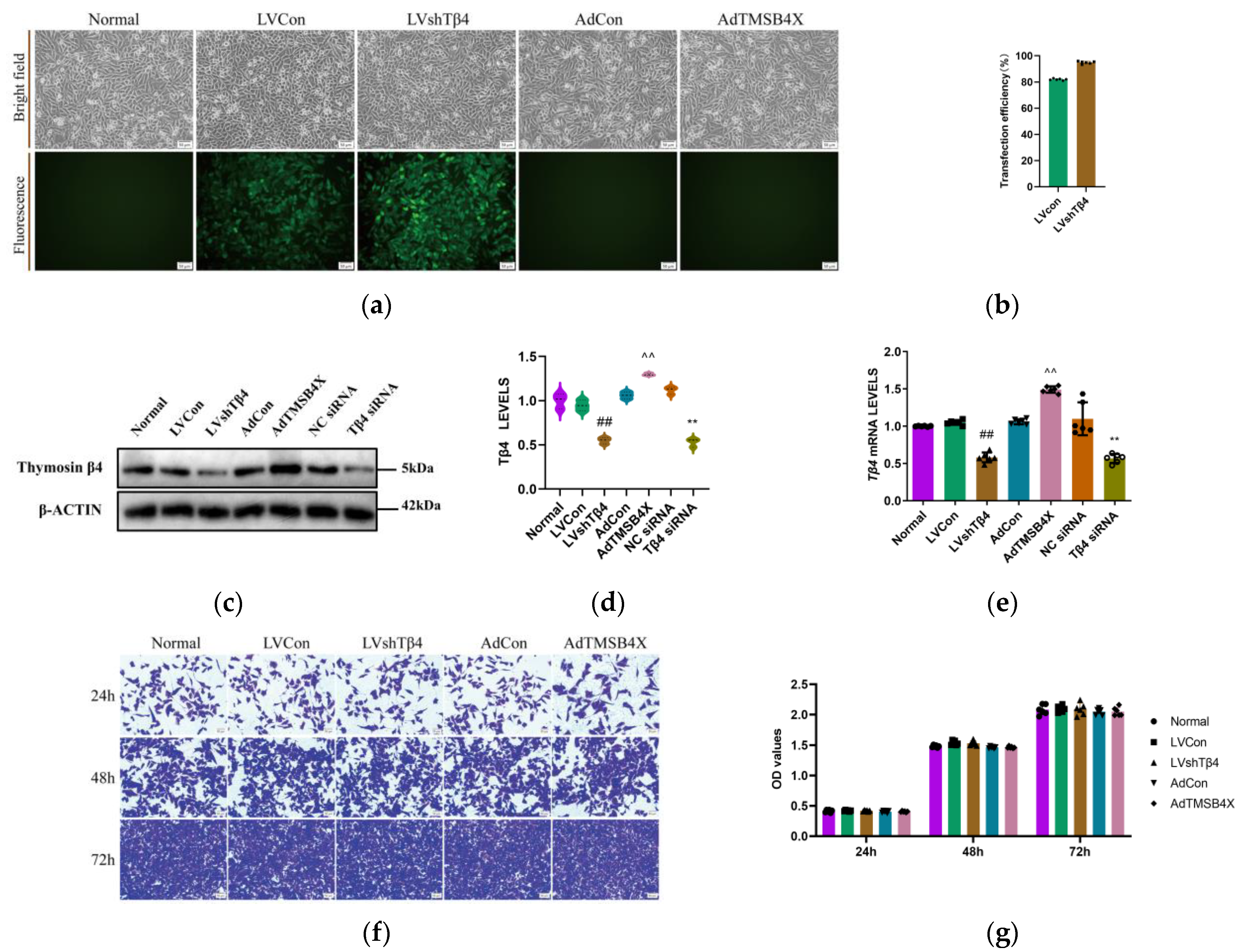 Ijms 25 01088 g001 Ijms 25 01088 g001