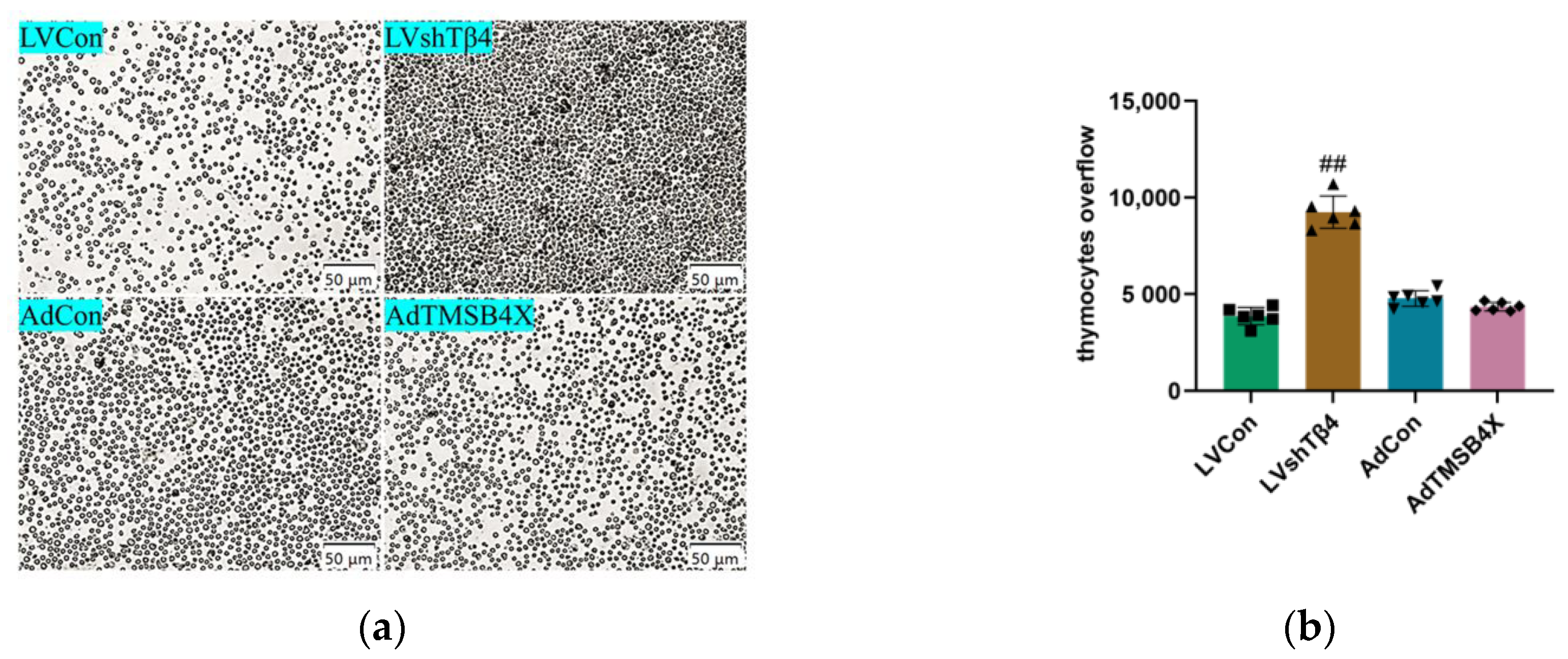 Ijms 25 01088 g002a Ijms 25 01088 g002a