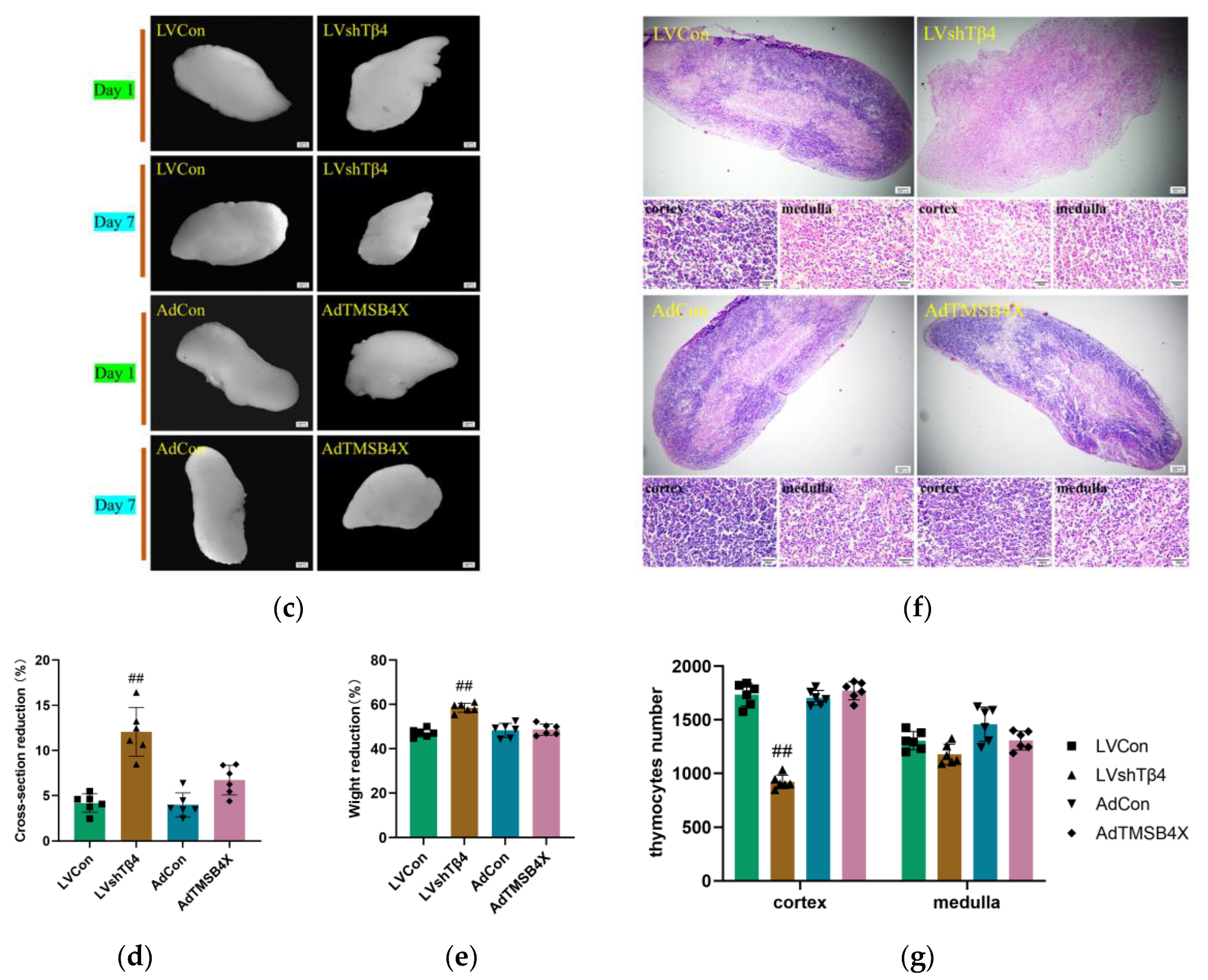Ijms 25 01088 g002b Ijms 25 01088 g002b