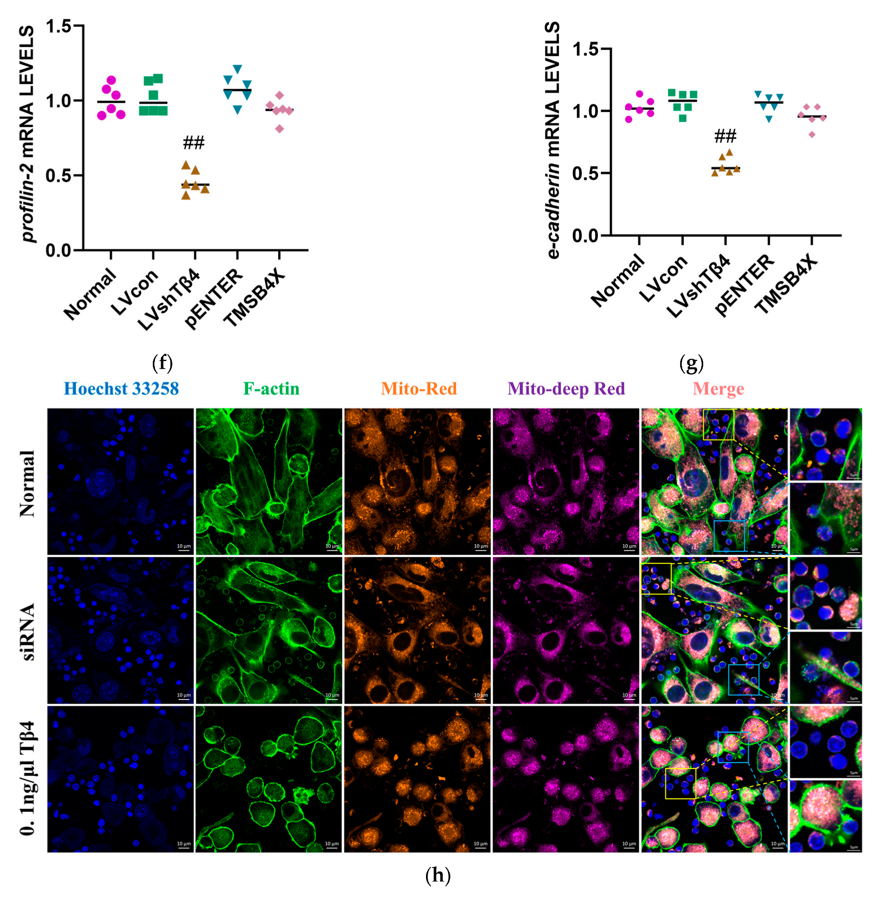 Ijms 25 01088 g005b Ijms 25 01088 g005b