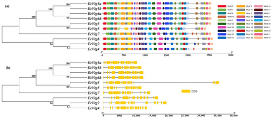 Genome-Wide Identification of Vitellogenin Gene Family and Comparative ...