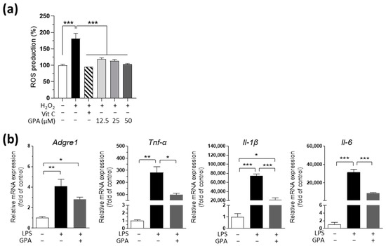 Graphislactone A, a Fungal Antioxidant Metabolite, Reduces