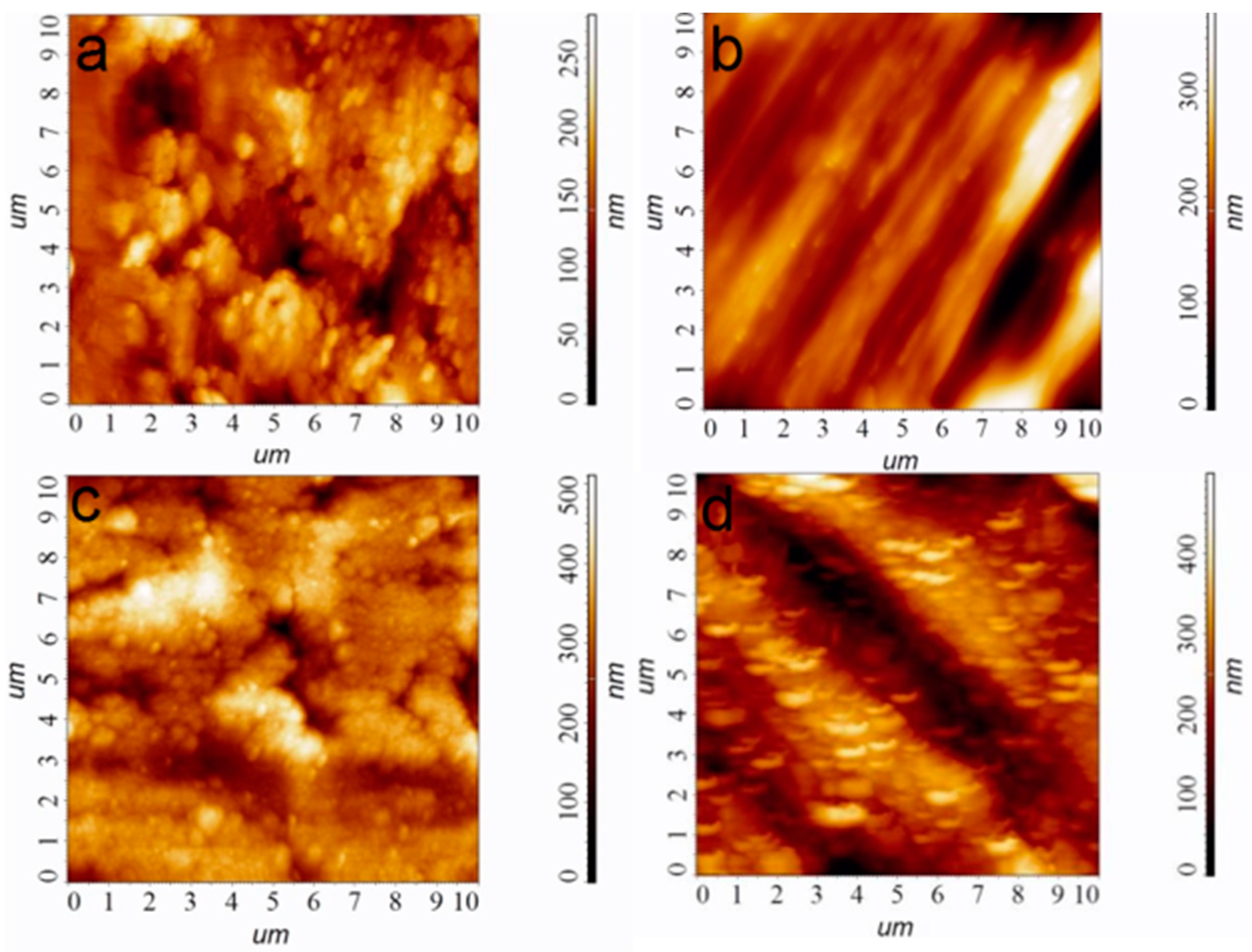 Ijms 25 01100 g001 Ijms 25 01100 g001