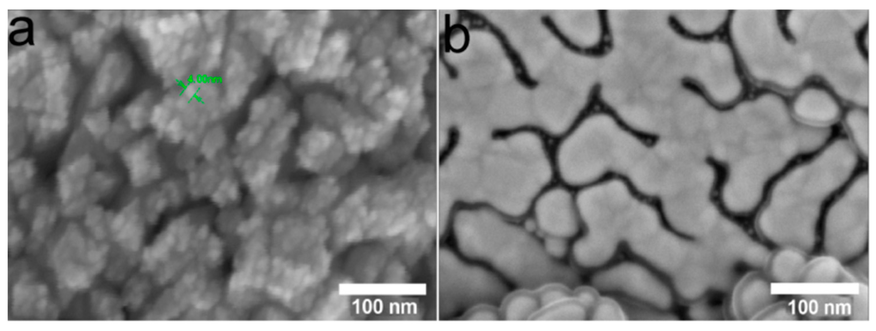 Ijms 25 01100 g005 Ijms 25 01100 g005