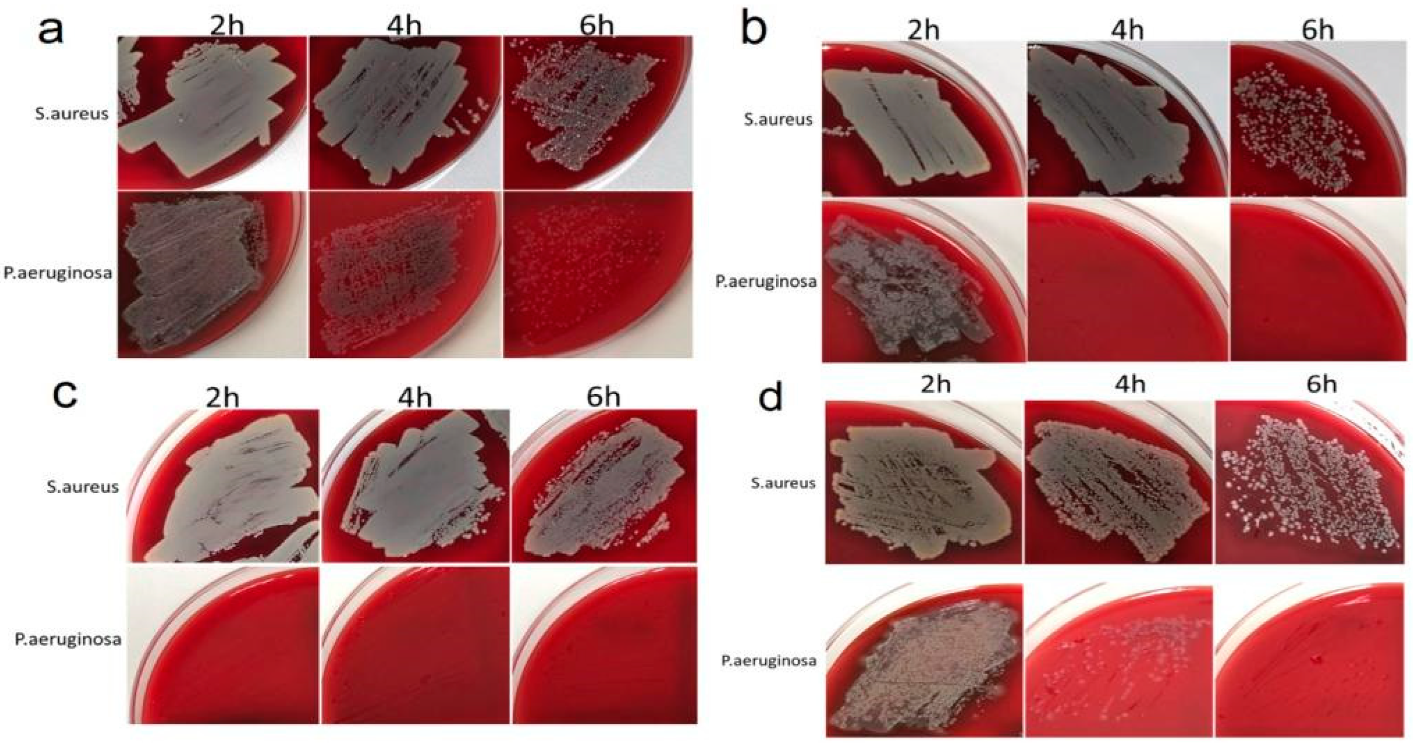Ijms 25 01100 g007 Ijms 25 01100 g007